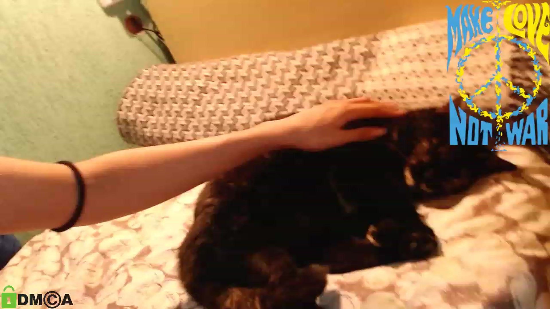 Gallery image thumbnail from MEDIA_'s myfreecams stream on, 07/01/2023, 22:21 image 5 of 20