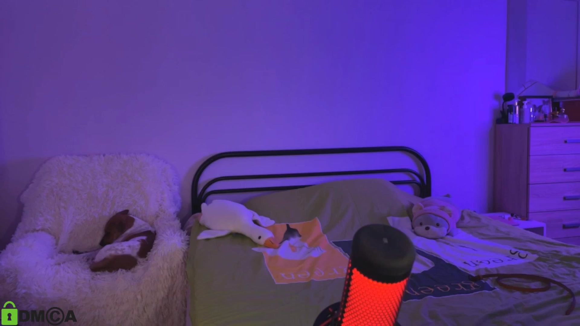 Gallery image thumbnail from MEDIA_'s myfreecams stream on, 09/27/2025, 23:46 image 16 of 20