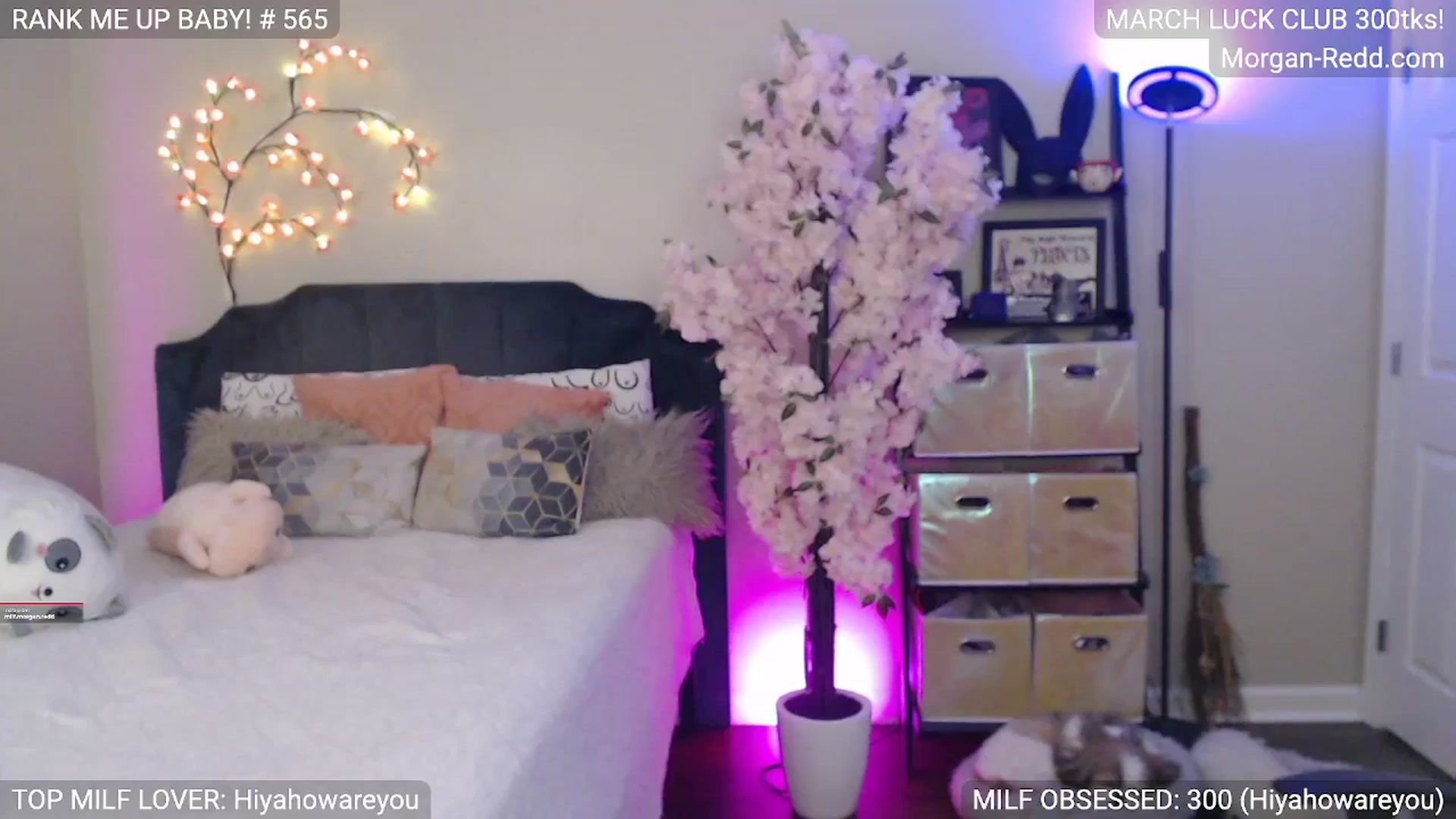 Gallery image thumbnail from MILFMorganRed's myfreecams stream on, 03/15/2026, 01:05 image 7 of 20