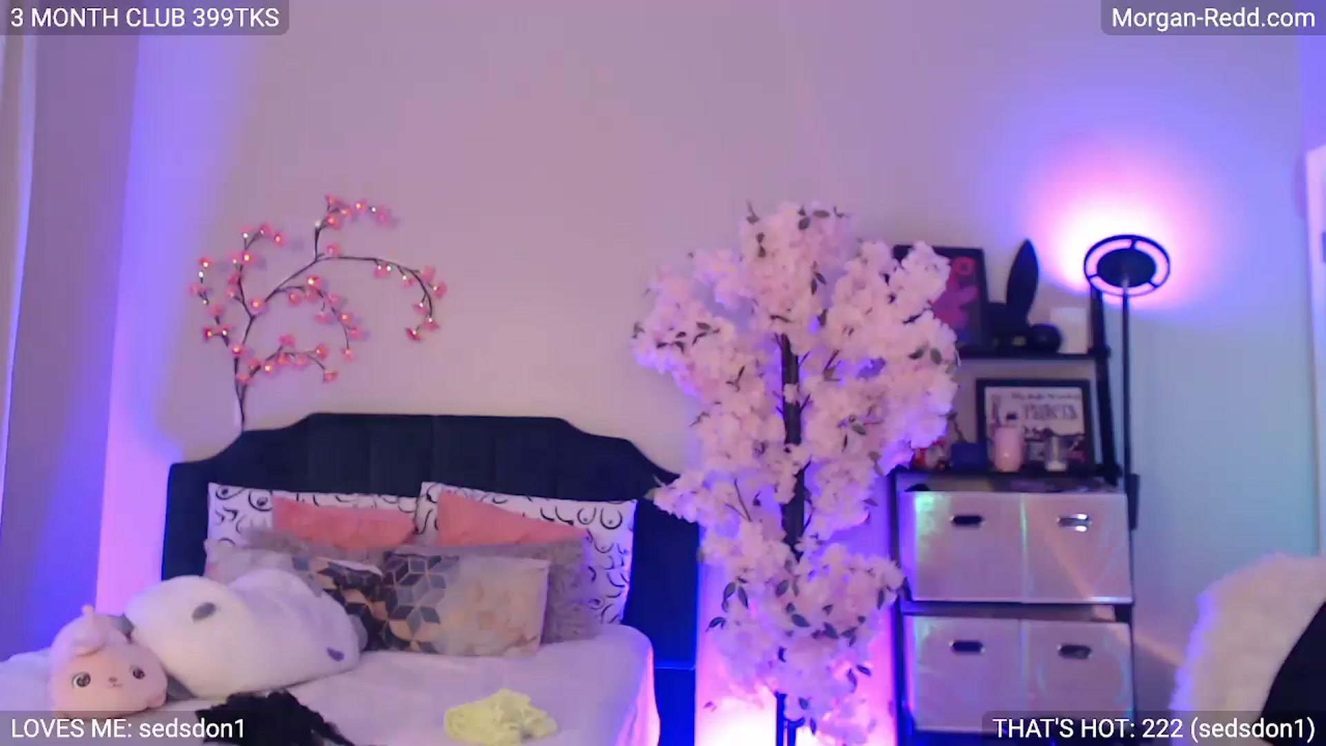 Gallery image thumbnail from MILFMorganRed's myfreecams stream on, 06/11/2026, 02:28 image 20 of 20