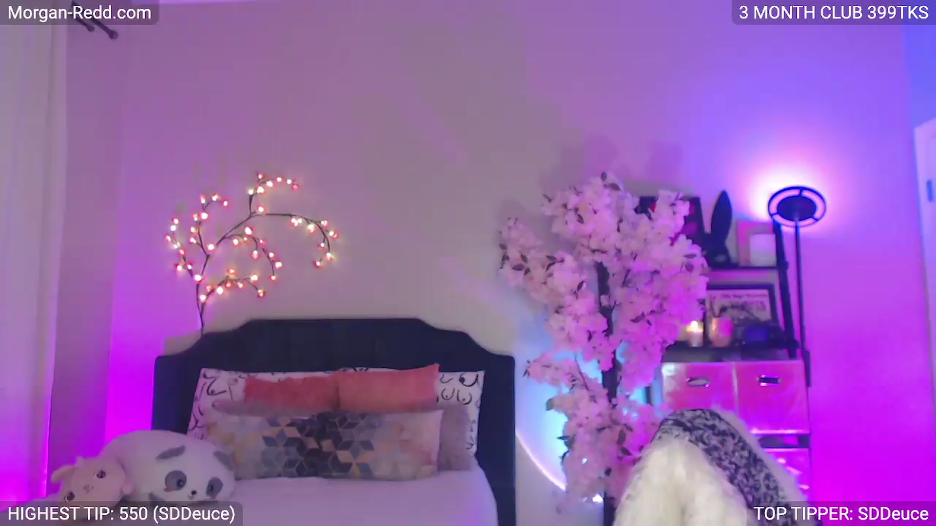 Gallery image thumbnail from MILFMorganRed's myfreecams stream on, 06/28/2026, 02:34 image 20 of 20