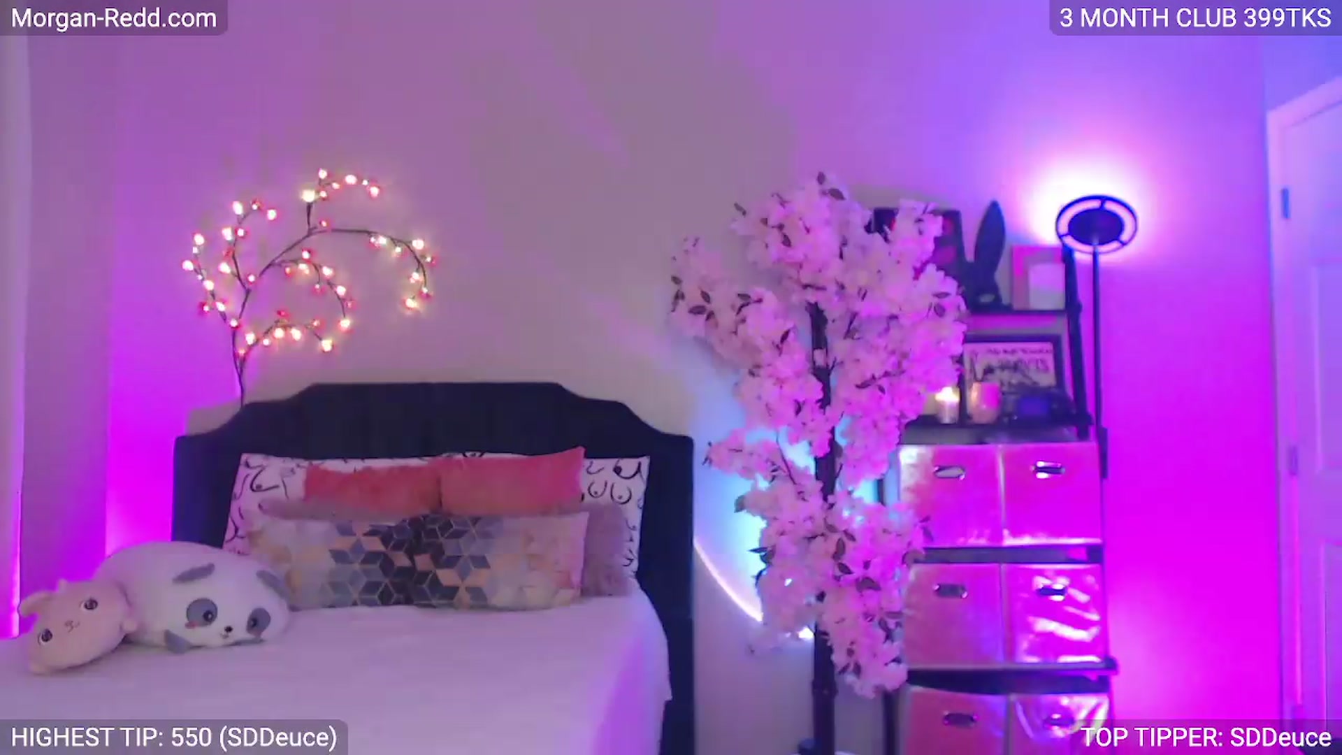 Gallery image thumbnail from MILFMorganRed's myfreecams stream on, 06/28/2026, 02:34 image 12 of 20