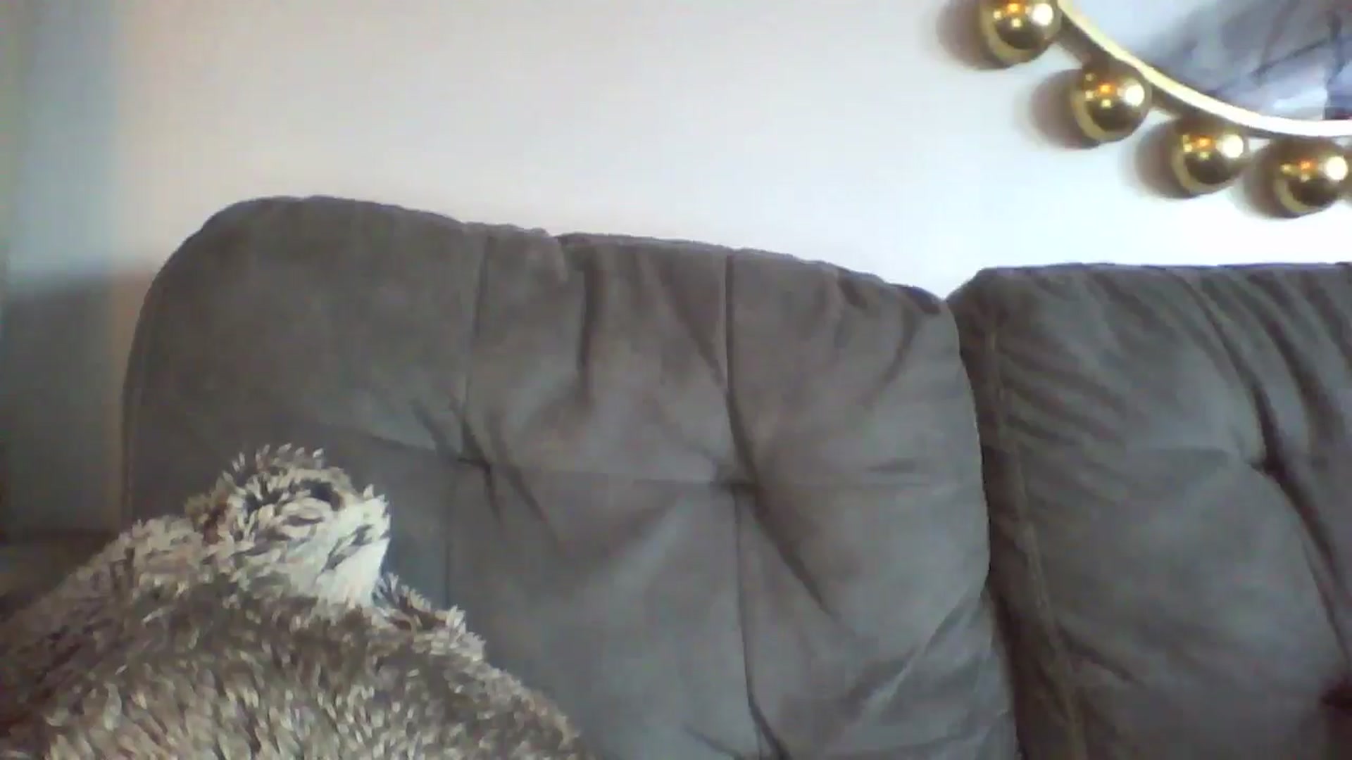 Gallery image thumbnail from MILF_Kori's myfreecams stream on, 10/28/2024, 12:53 image 19 of 20