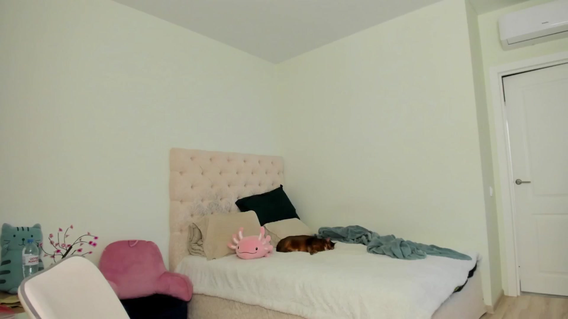 Gallery image thumbnail from MS_BLAZY's myfreecams stream on, 03/17/2025, 11:07 image 16 of 20