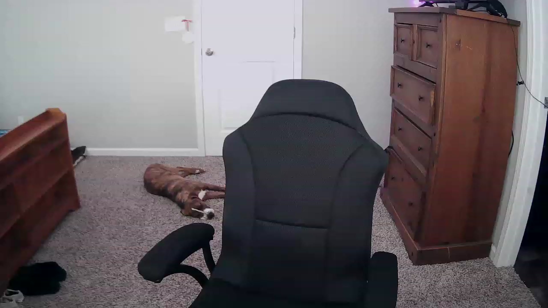 Gallery image thumbnail from MS_JAYY's myfreecams stream on, 12/05/2022, 15:28 image 1 of 20