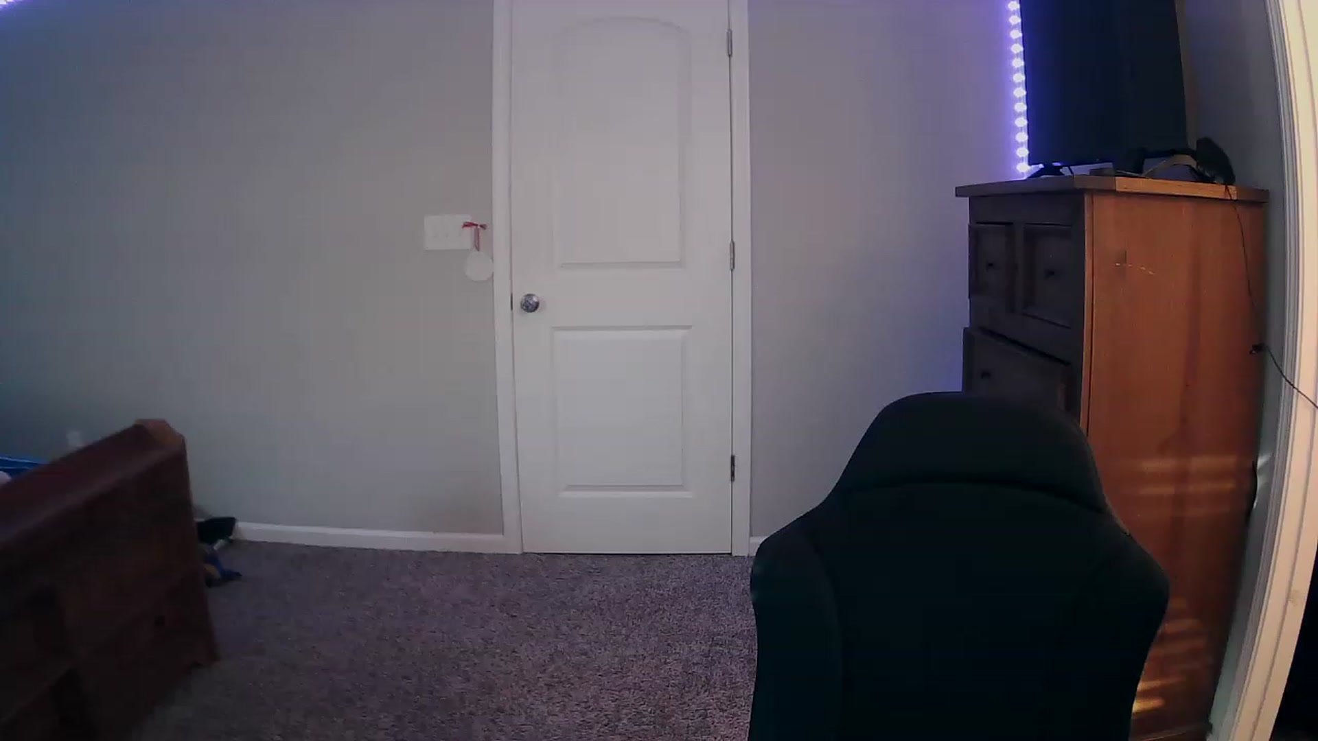 Gallery image thumbnail from MS_JAYY's myfreecams stream on, 12/07/2022, 14:18 image 3 of 20
