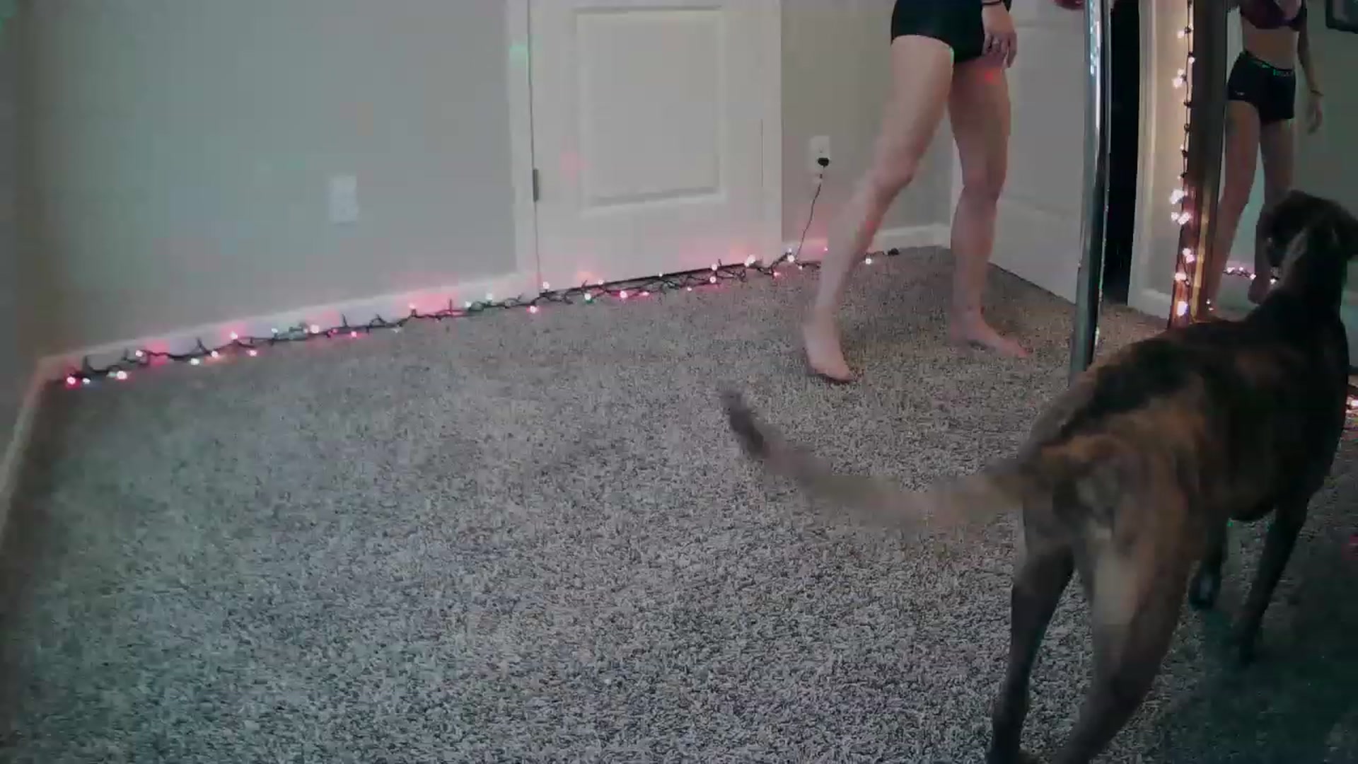 Gallery image thumbnail from MS_JAYY's myfreecams stream on, 12/19/2022, 16:26 image 13 of 20