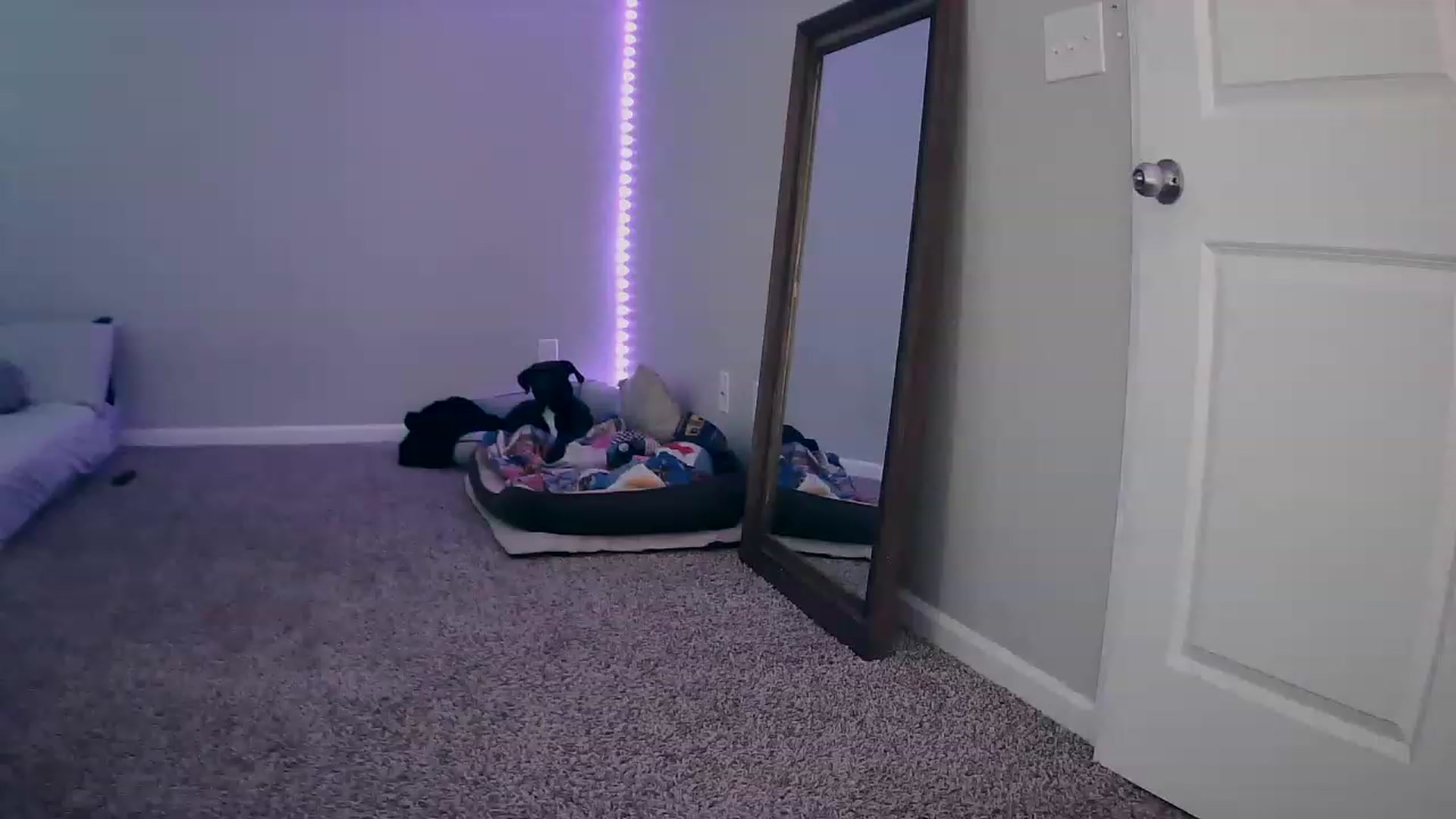 Gallery image thumbnail from MS_JAYY's myfreecams stream on, 02/07/2023, 13:02 image 10 of 20