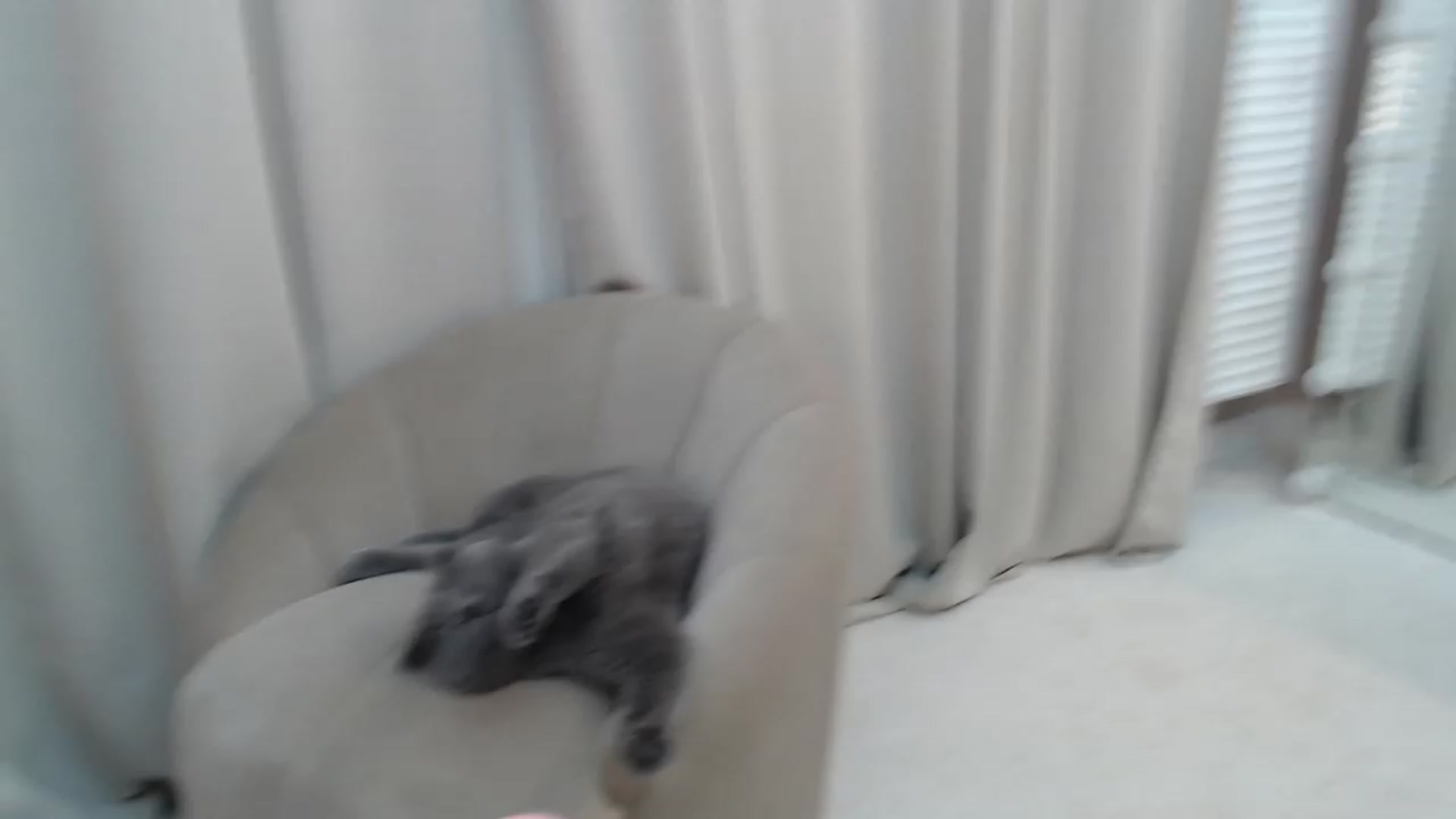 Gallery image thumbnail from M_i_k_aa's myfreecams stream on, 01/30/2023, 22:05 image 16 of 20