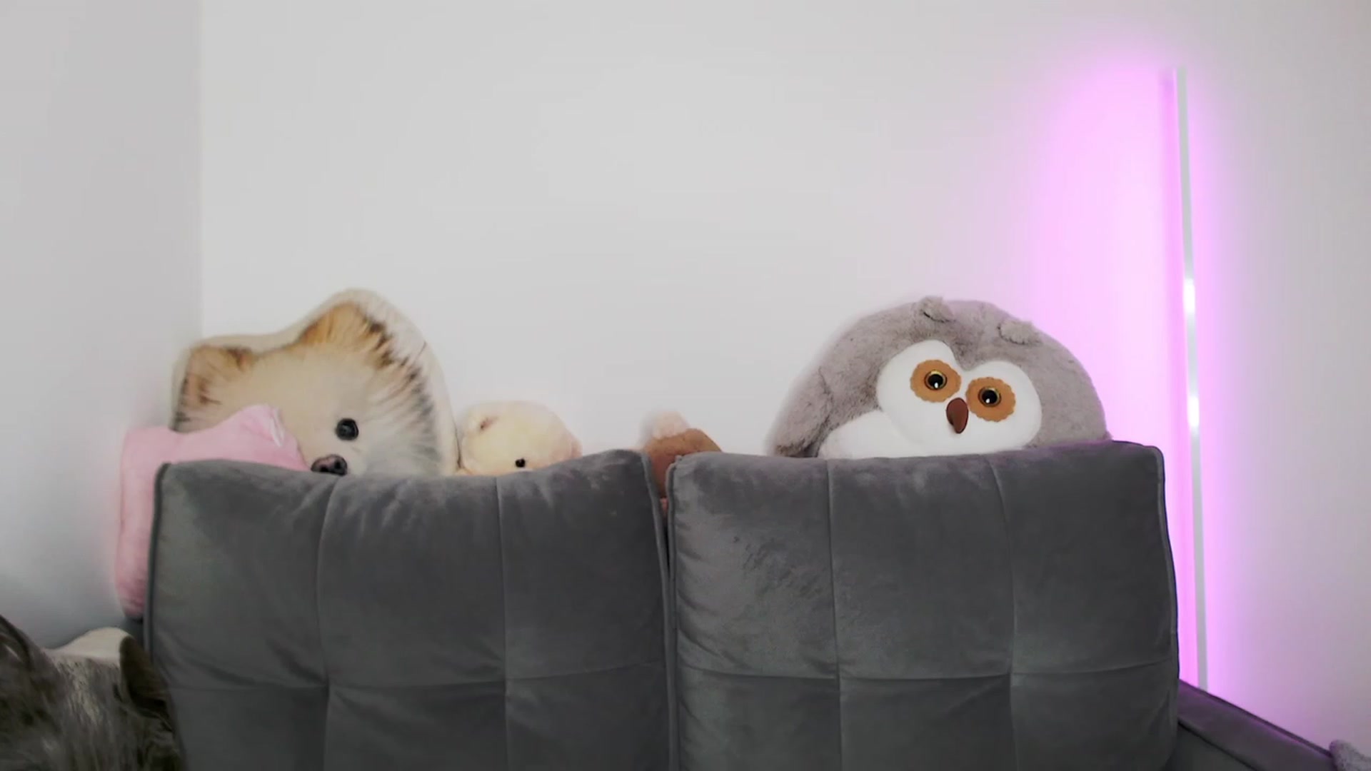 Gallery image thumbnail from Ma_Ry_Me's myfreecams stream on, 05/21/2023, 17:30 image 1 of 20