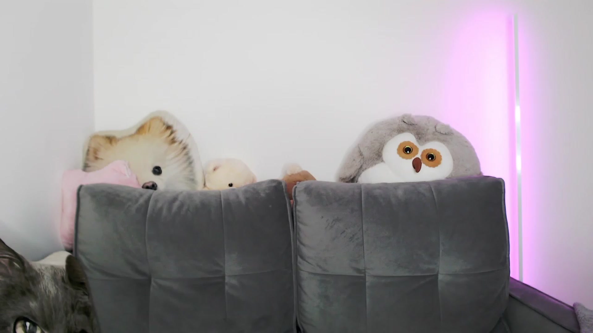 Gallery image thumbnail from Ma_Ry_Me's myfreecams stream on, 05/21/2023, 17:30 image 16 of 20