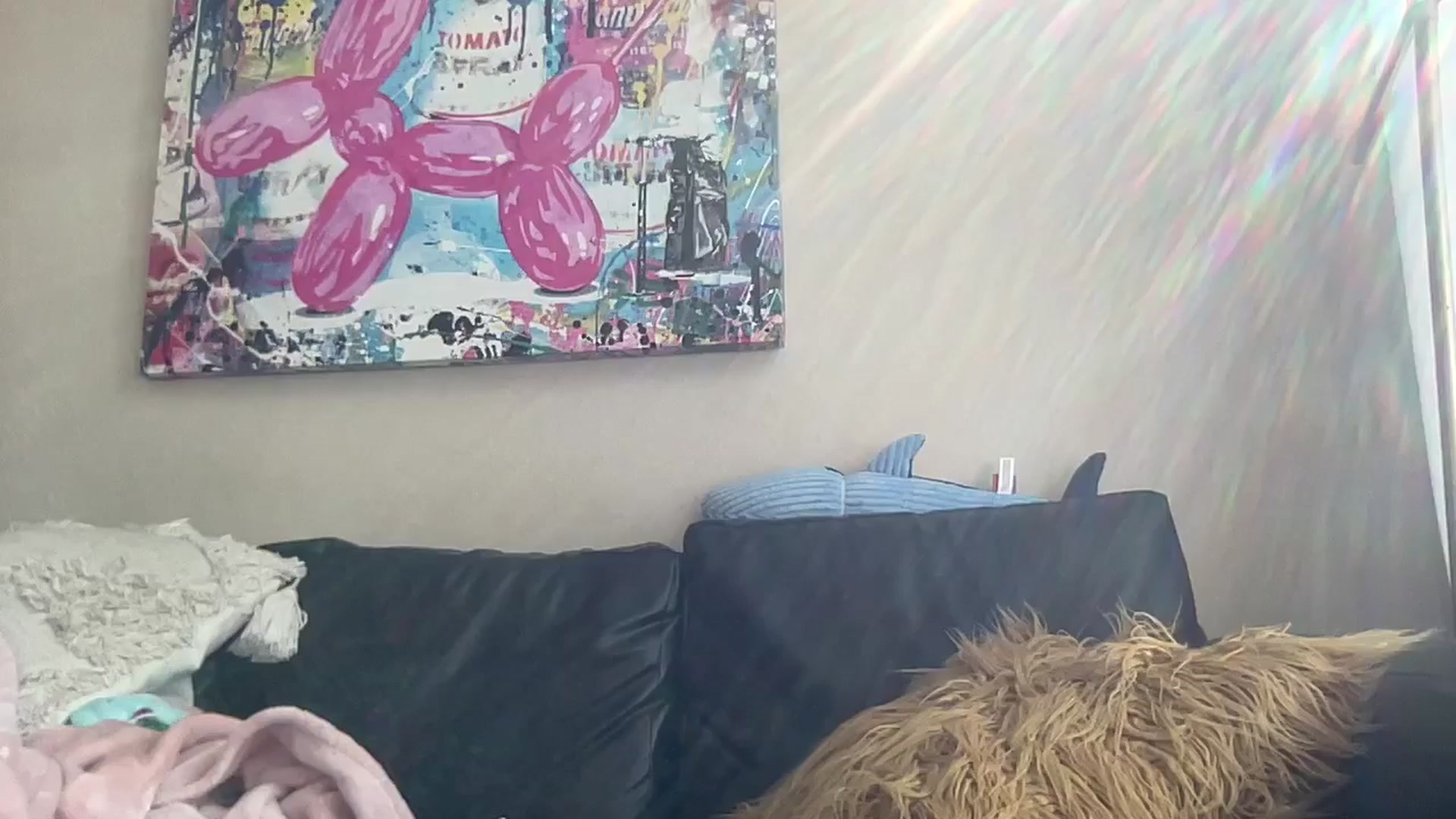 Gallery image thumbnail from MacyDaniels's myfreecams stream on, 05/07/2025, 22:20 image 3 of 20