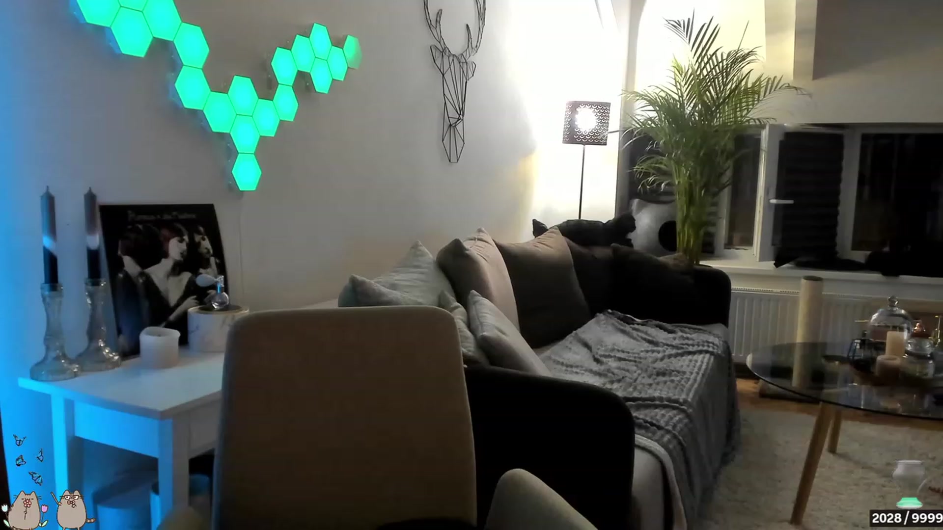 Gallery image thumbnail from Mad_Coffee's myfreecams stream on, 06/26/2023, 02:01 image 18 of 20