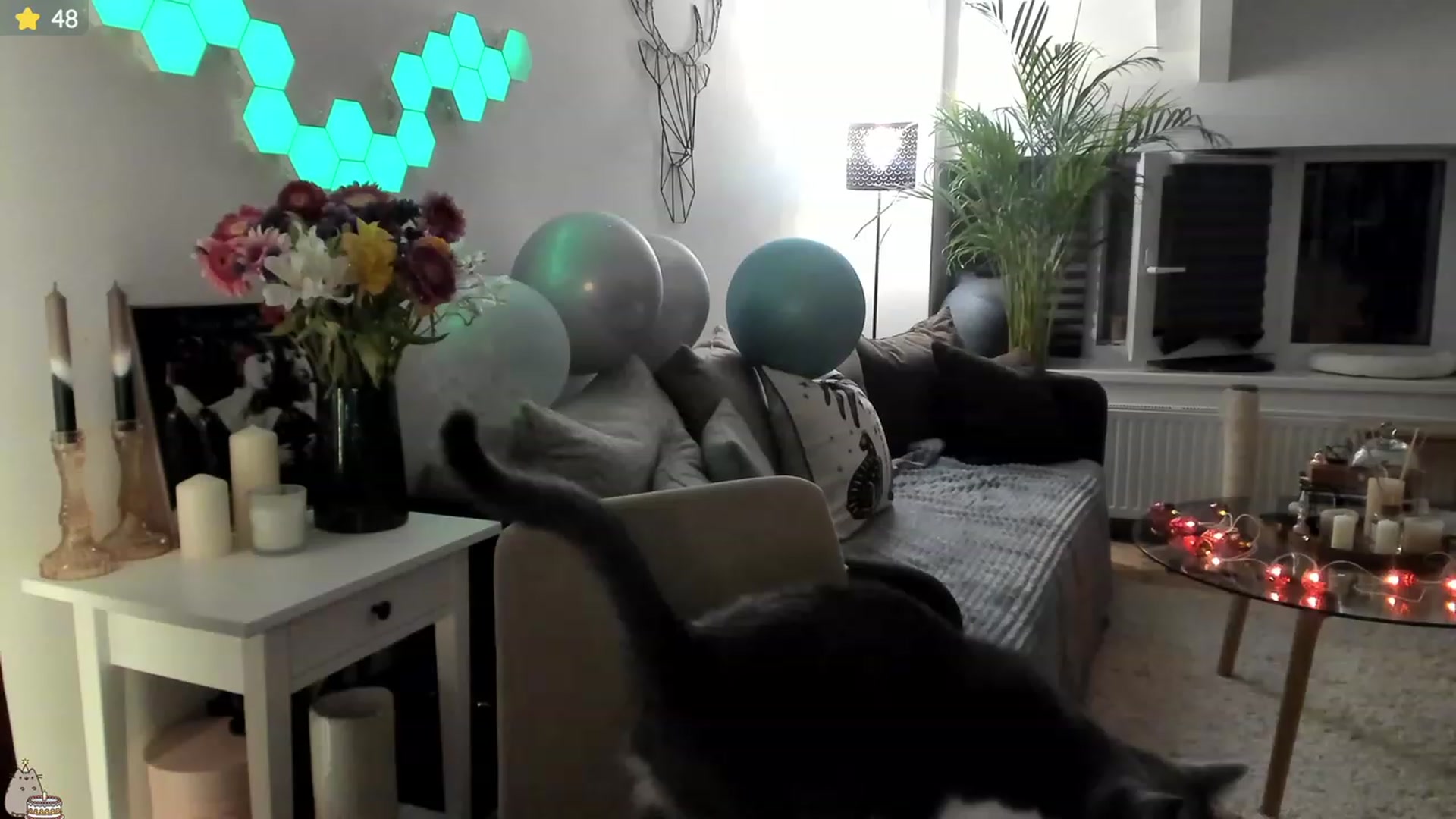 Gallery image thumbnail from Mad_Coffee's myfreecams stream on, 07/11/2023, 24:01 image 7 of 20