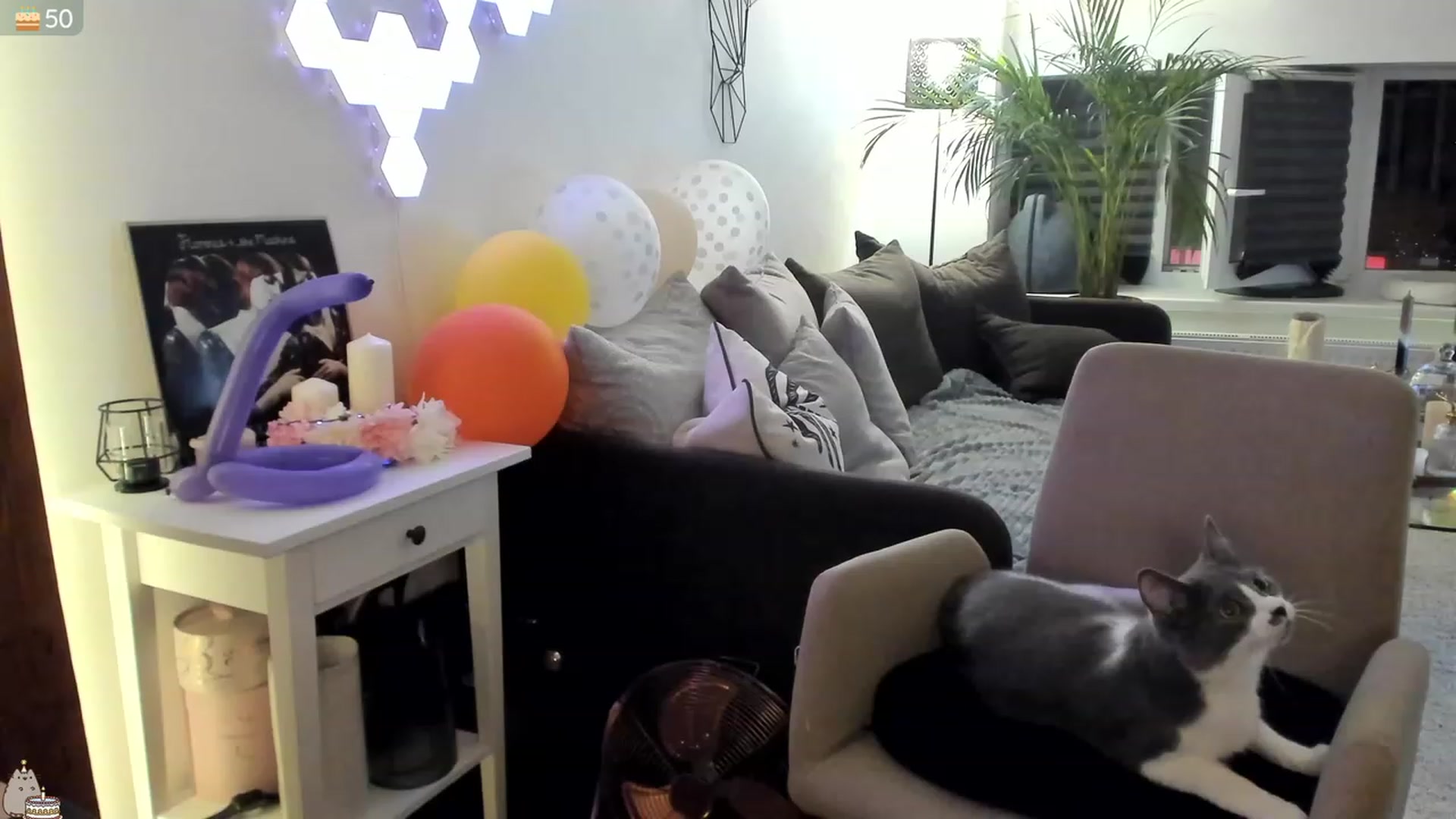 Gallery image thumbnail from Mad_Coffee's myfreecams stream on, 07/26/2023, 04:03 image 3 of 20