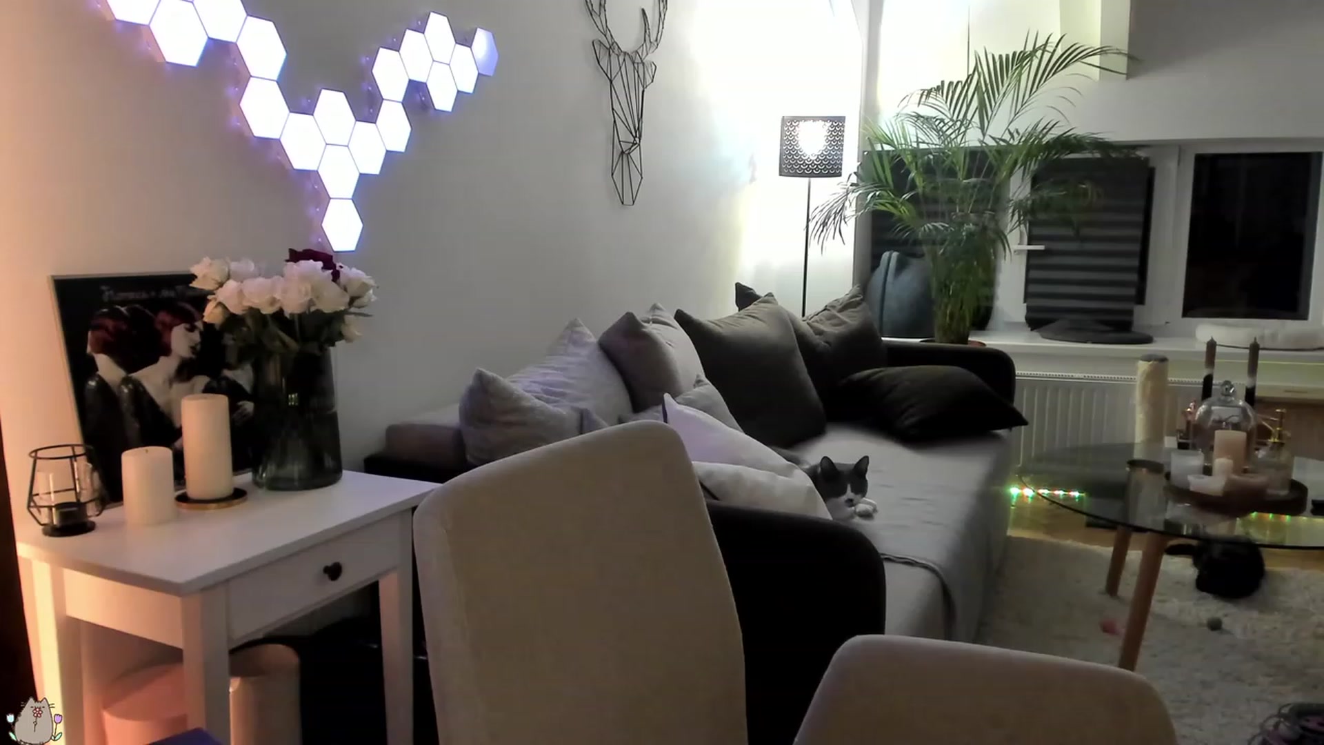 Gallery image thumbnail from Mad_Coffee's myfreecams stream on, 08/03/2023, 24:21 image 14 of 20