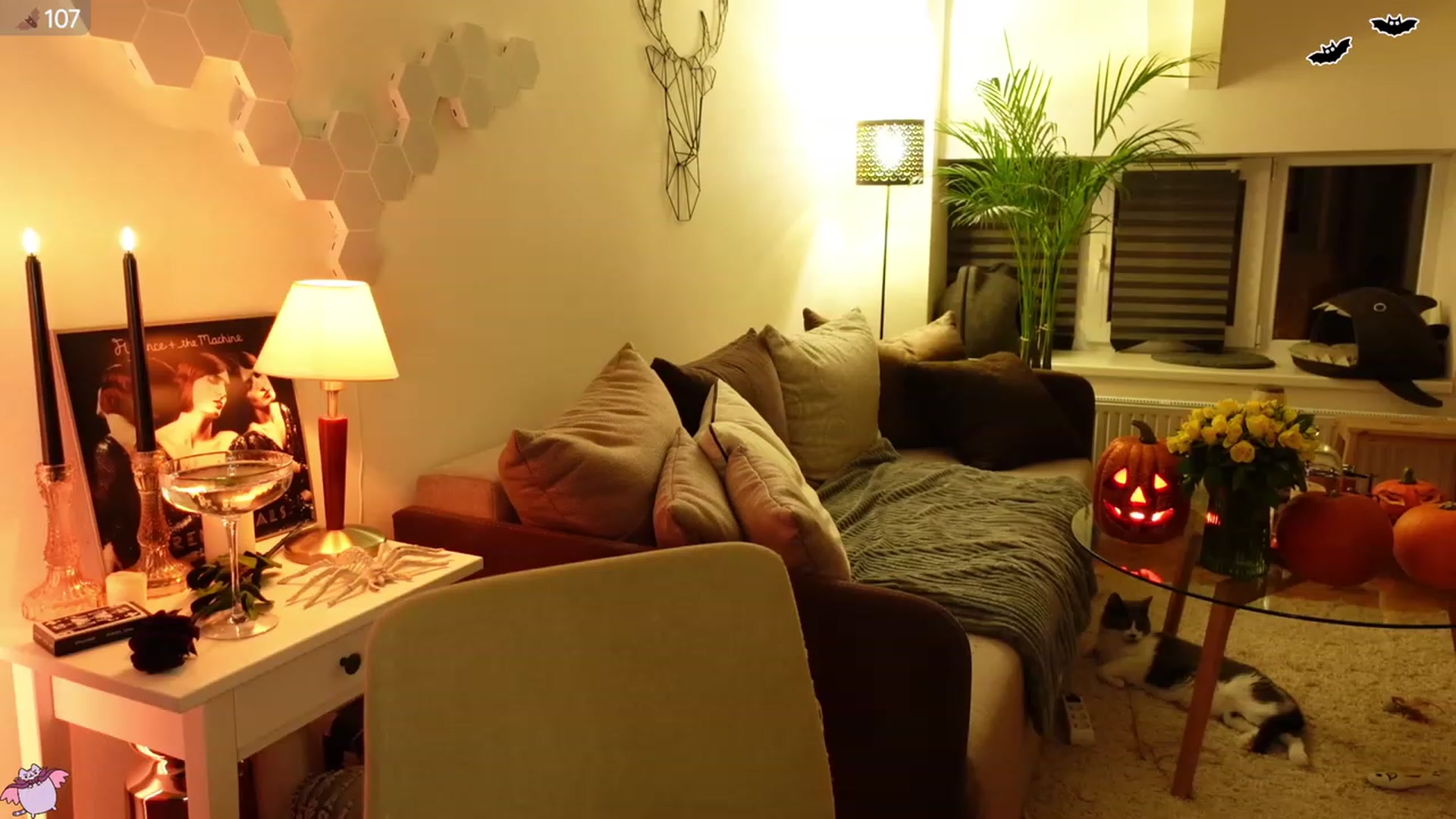 Gallery image thumbnail from Maddie's myfreecams stream on, 10/28/2023, 23:38 image 3 of 20