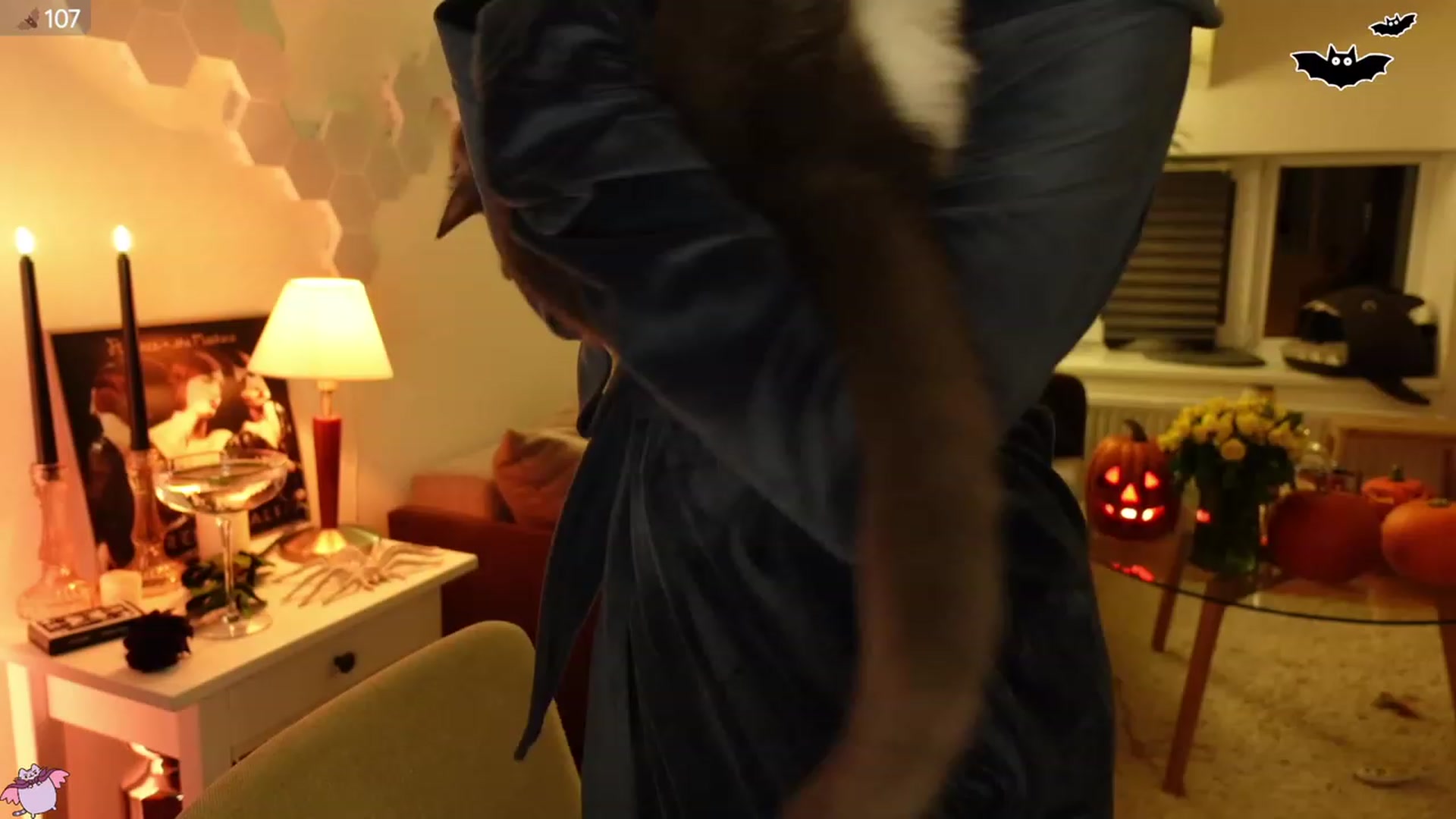 Gallery image thumbnail from Maddie's myfreecams stream on, 10/28/2023, 23:38 image 8 of 20
