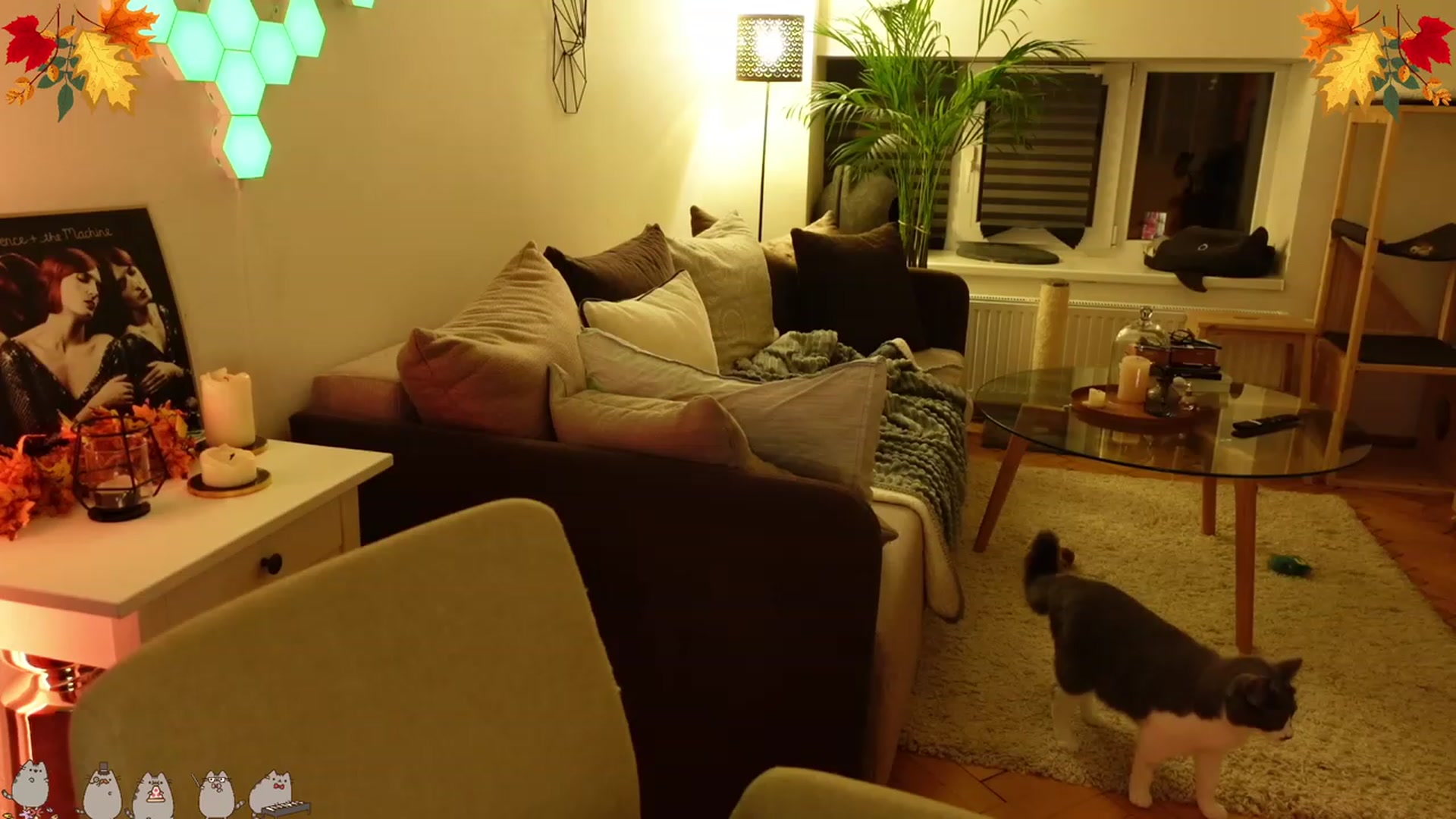 Gallery image thumbnail from Maddie's myfreecams stream on, 11/19/2023, 02:39 image 4 of 20
