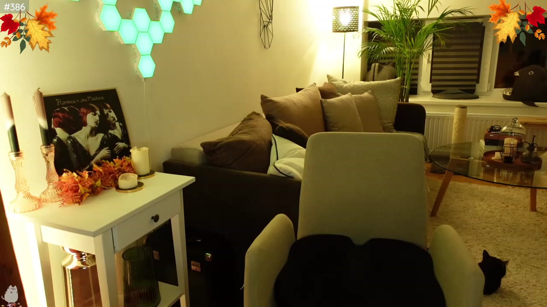 Gallery image thumbnail from Maddie's myfreecams stream on, 11/27/2023, 02:35 image 16 of 20