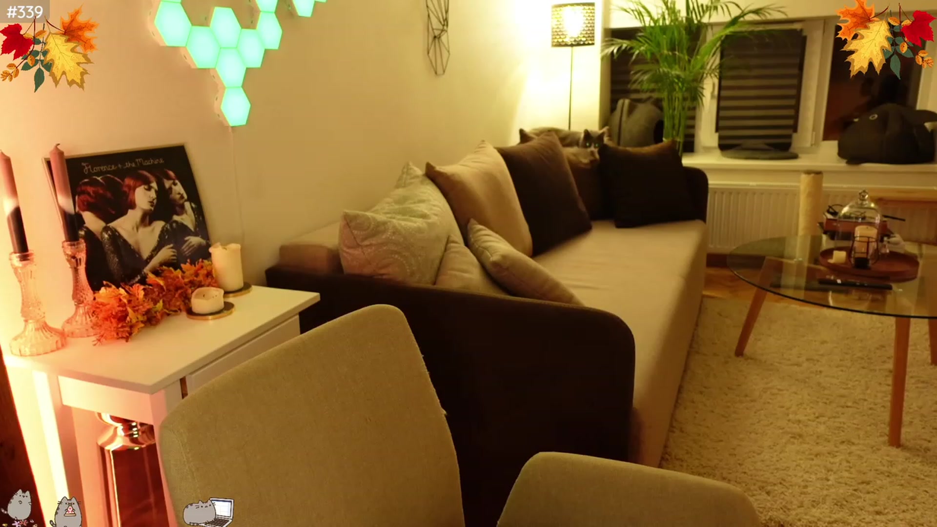Gallery image thumbnail from Maddie's myfreecams stream on, 11/29/2023, 04:09 image 1 of 20