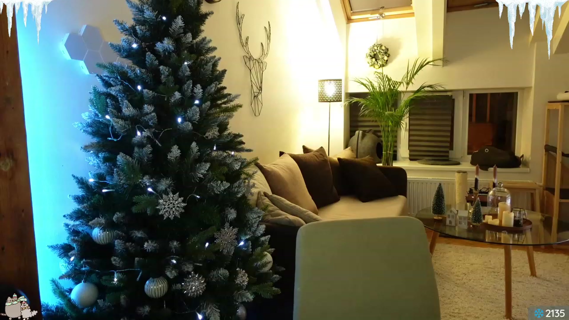 Gallery image thumbnail from Maddie's myfreecams stream on, 12/02/2023, 01:30 image 14 of 20
