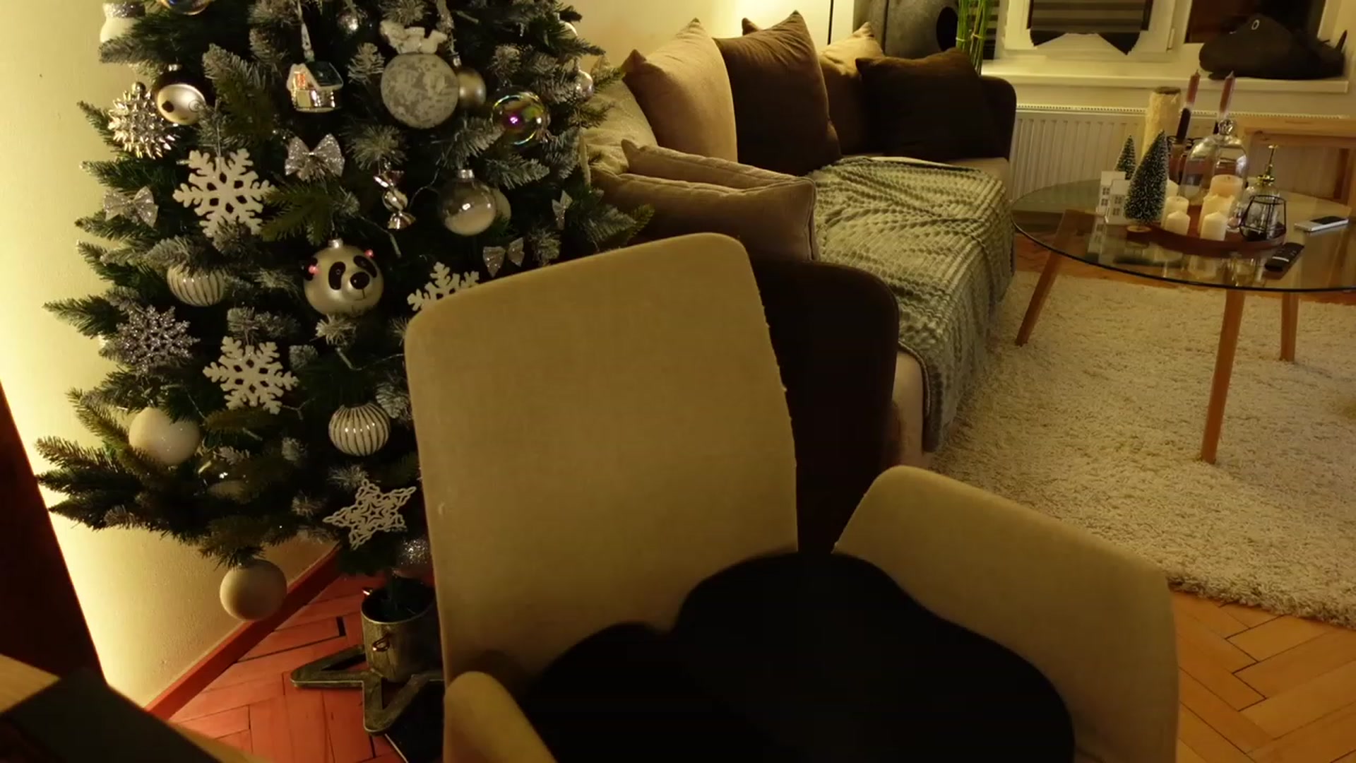 Gallery image thumbnail from Maddie's myfreecams stream on, 12/15/2023, 02:44 image 13 of 20