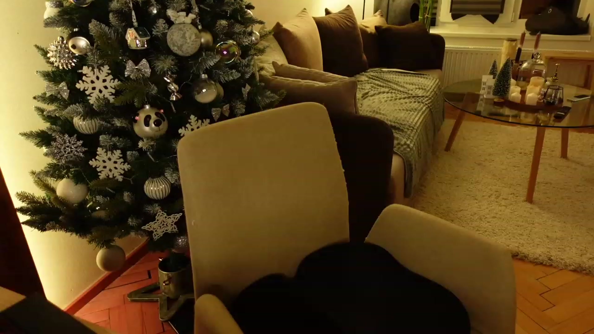 Gallery image thumbnail from Maddie's myfreecams stream on, 12/15/2023, 02:44 image 12 of 20