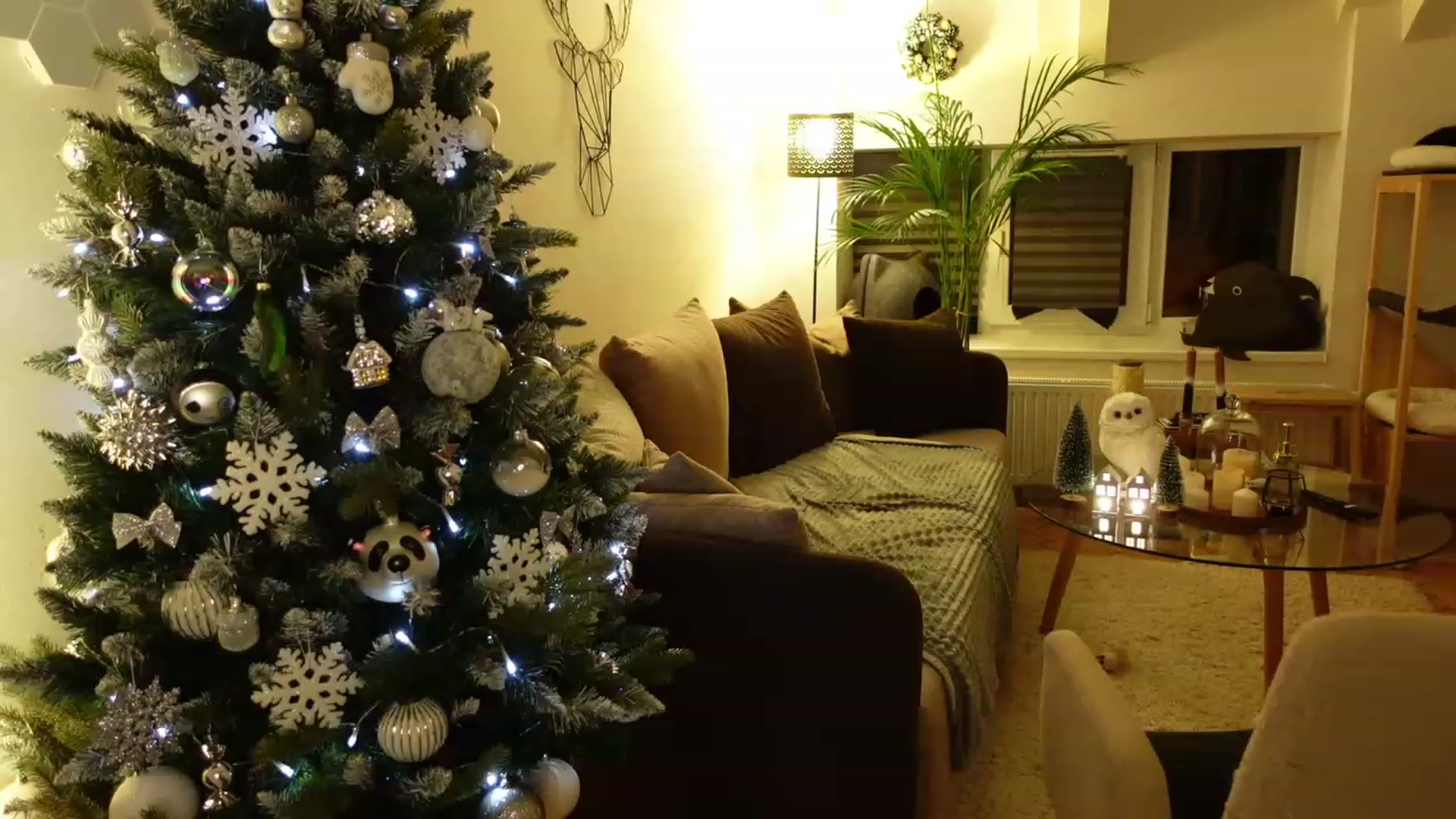 Gallery image thumbnail from Maddie's myfreecams stream on, 12/22/2023, 02:10 image 4 of 20