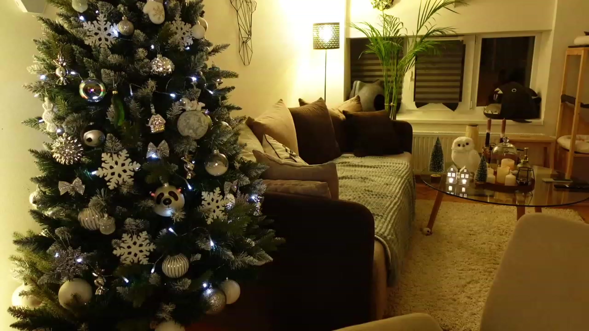 Gallery image thumbnail from Maddie's myfreecams stream on, 12/24/2023, 02:56 image 10 of 20