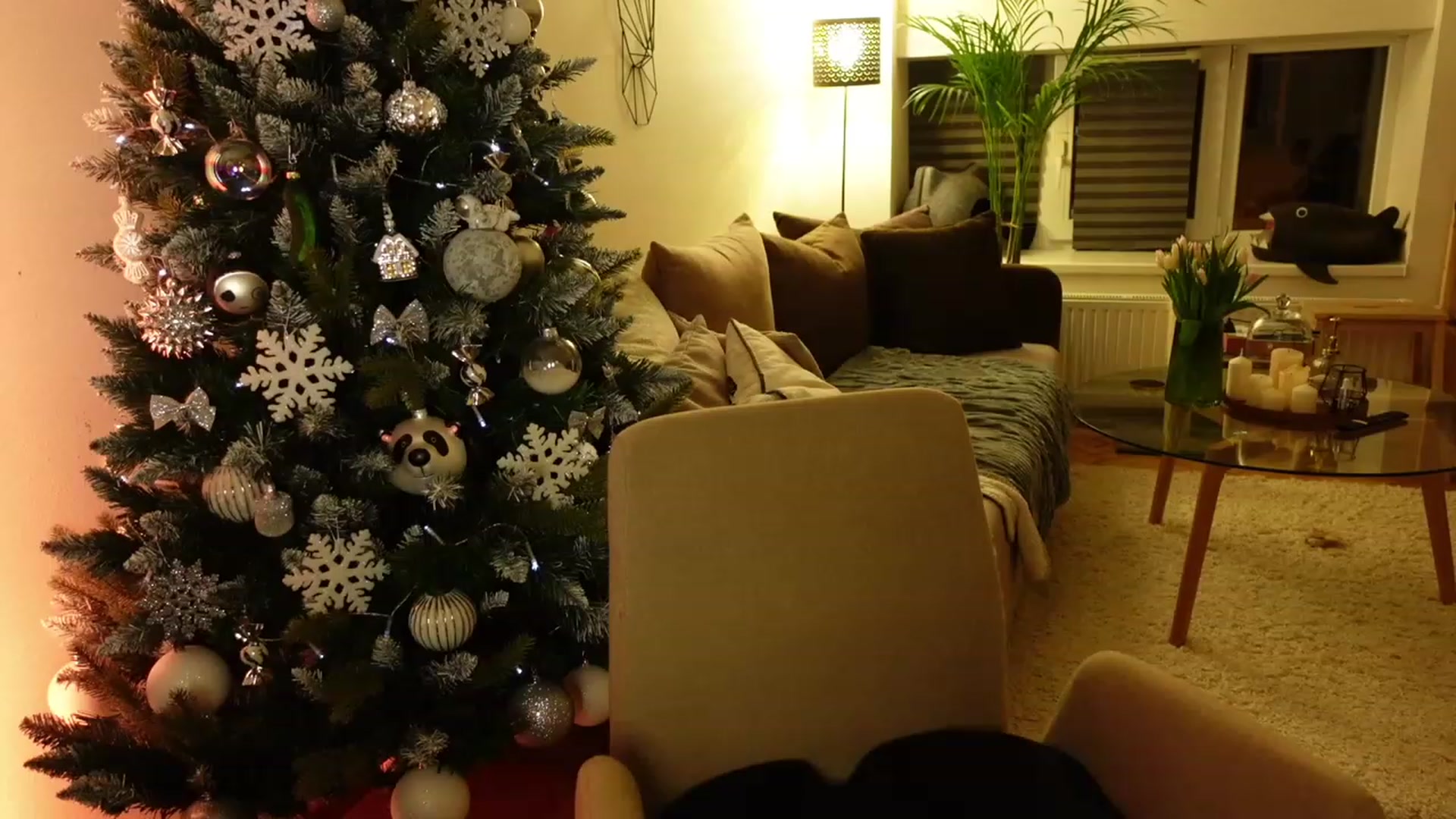 Gallery image thumbnail from Maddie's myfreecams stream on, 01/06/2024, 01:24 image 16 of 20