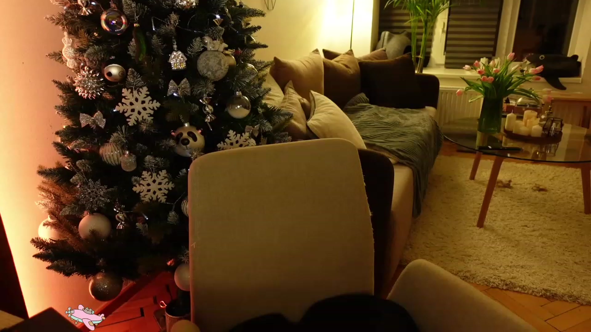 Gallery image thumbnail from Maddie's myfreecams stream on, 01/08/2024, 02:11 image 19 of 20