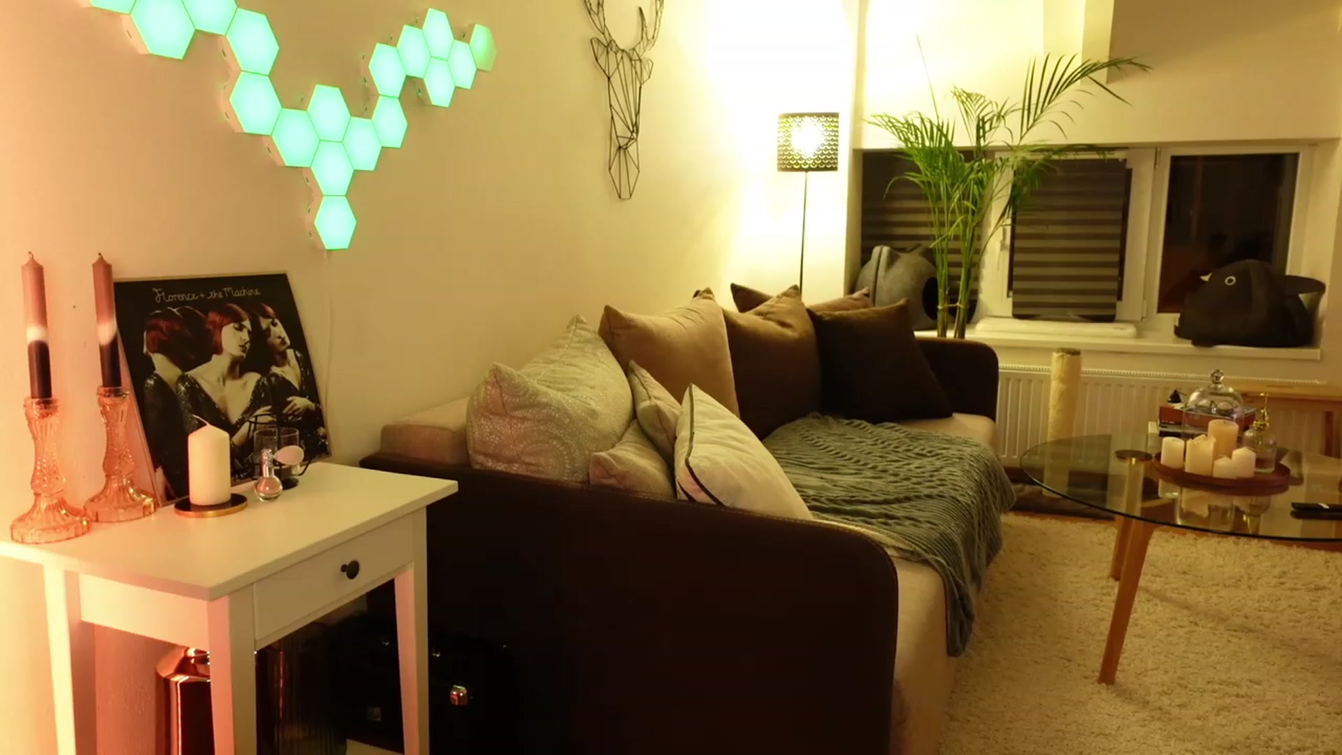 Gallery image thumbnail from Maddie's myfreecams stream on, 01/21/2024, 01:56 image 19 of 20