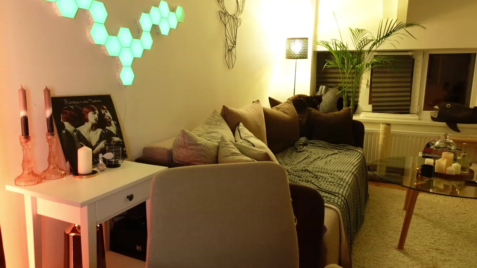 Gallery image thumbnail from Maddie's myfreecams stream on, 01/30/2024, 05:22 image 9 of 20