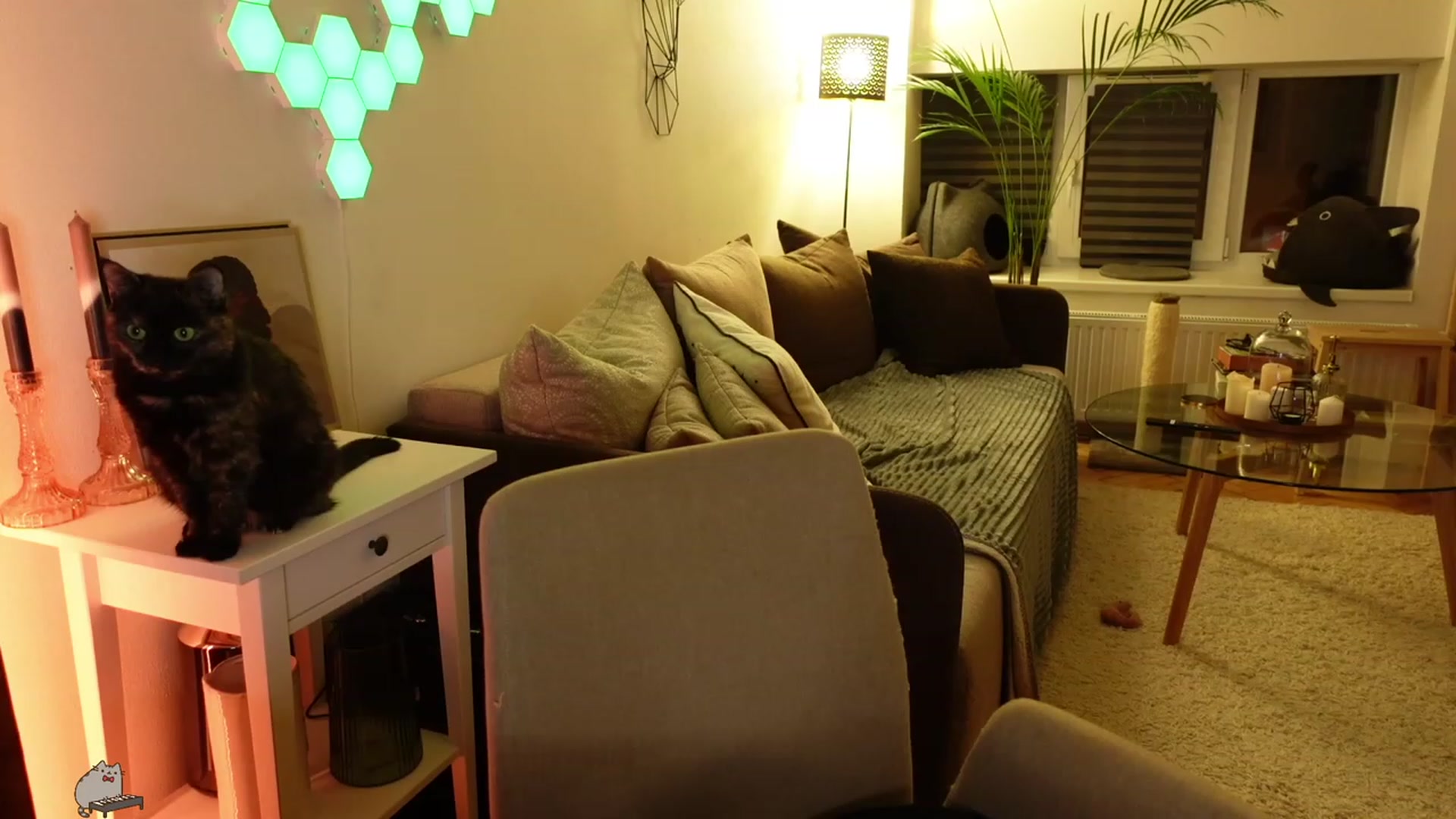 Gallery image thumbnail from Maddie's myfreecams stream on, 02/29/2024, 04:07 image 1 of 20
