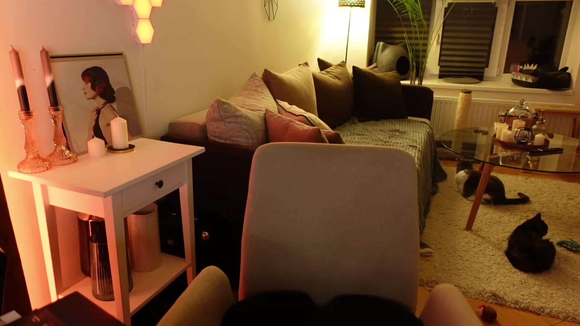 Gallery image thumbnail from Maddie's myfreecams stream on, 03/16/2024, 04:53 image 14 of 20