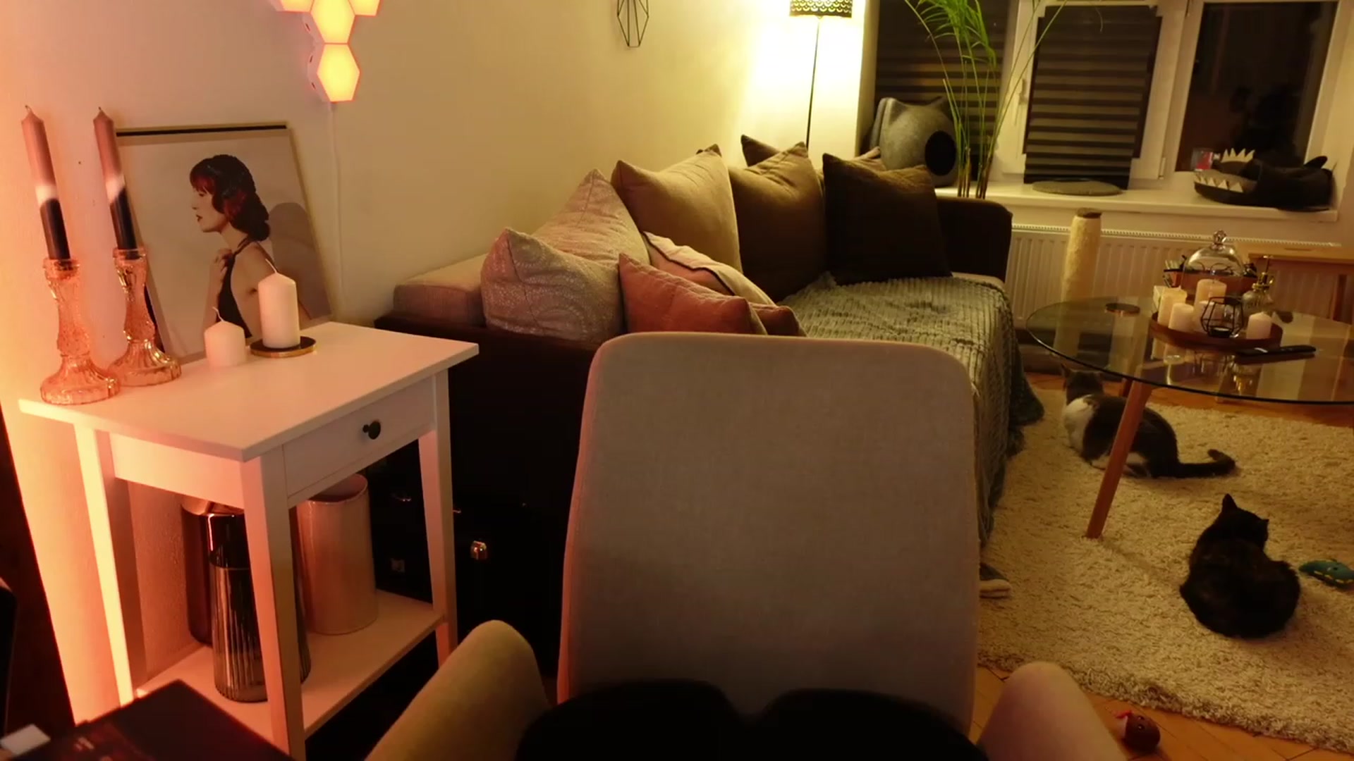 Gallery image thumbnail from Maddie's myfreecams stream on, 03/16/2024, 04:53 image 12 of 20
