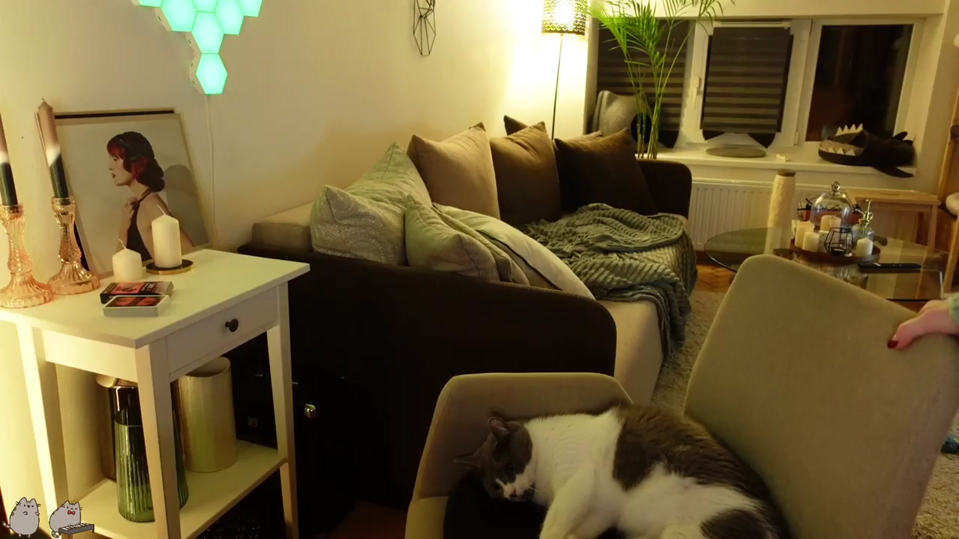 Gallery image thumbnail from Maddie's myfreecams stream on, 03/21/2024, 24:47 image 10 of 20