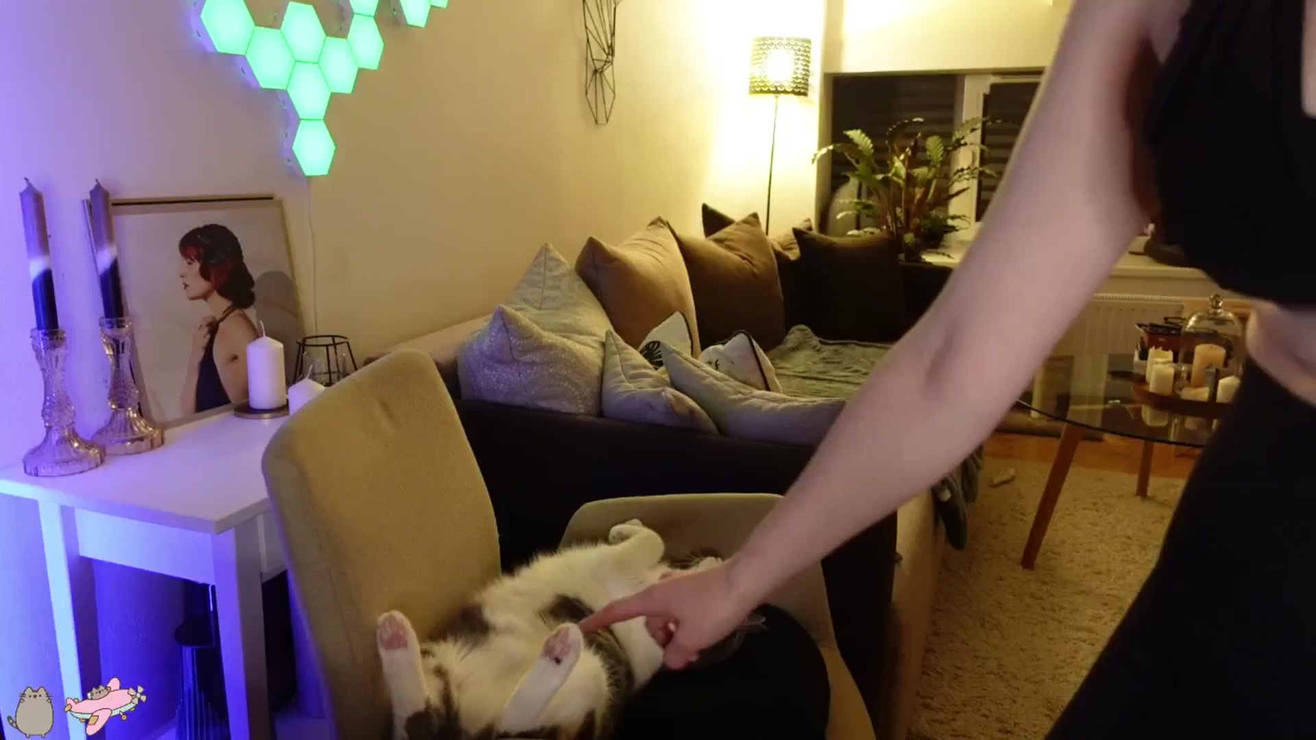 Gallery image thumbnail from Maddie's myfreecams stream on, 06/02/2024, 02:21 image 10 of 20