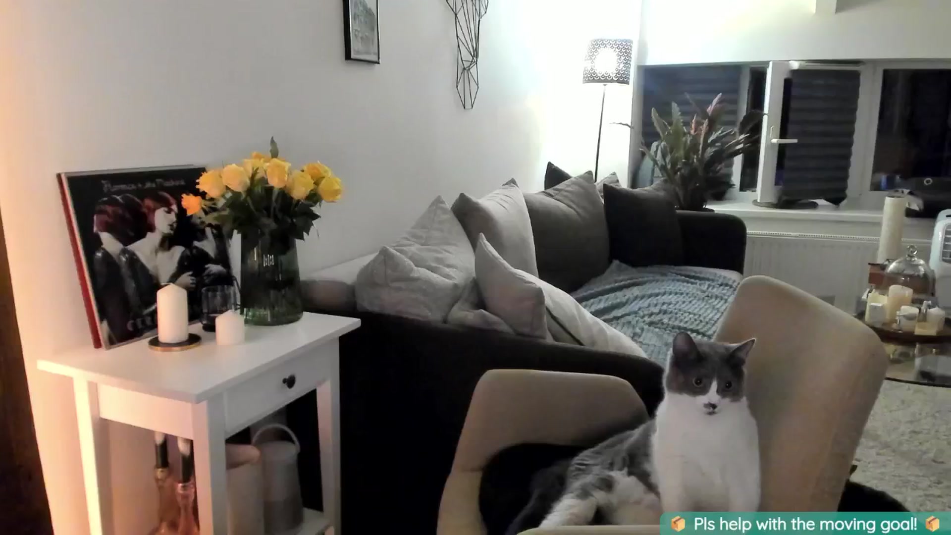 Gallery image thumbnail from Maddie's myfreecams stream on, 08/18/2024, 01:16 image 6 of 20