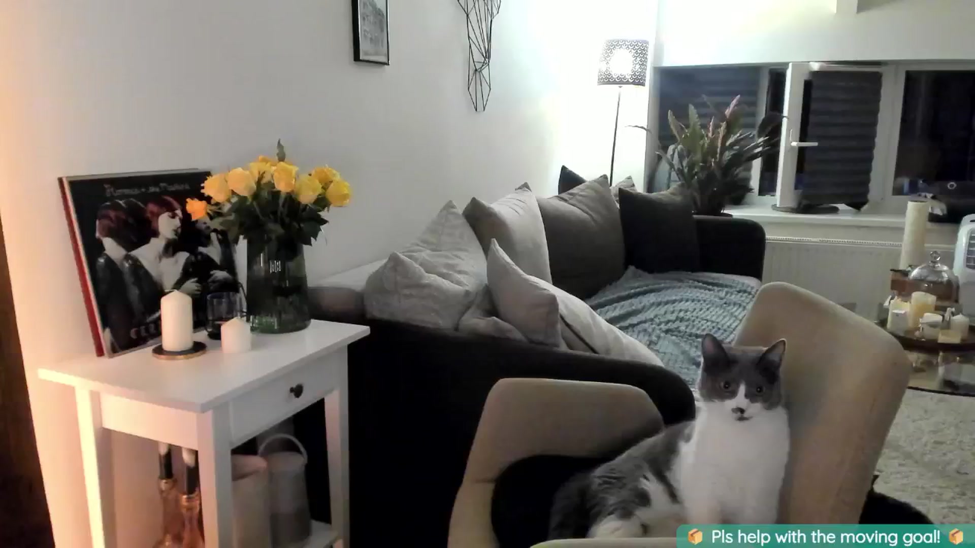 Gallery image thumbnail from Maddie's myfreecams stream on, 08/18/2024, 01:16 image 5 of 20