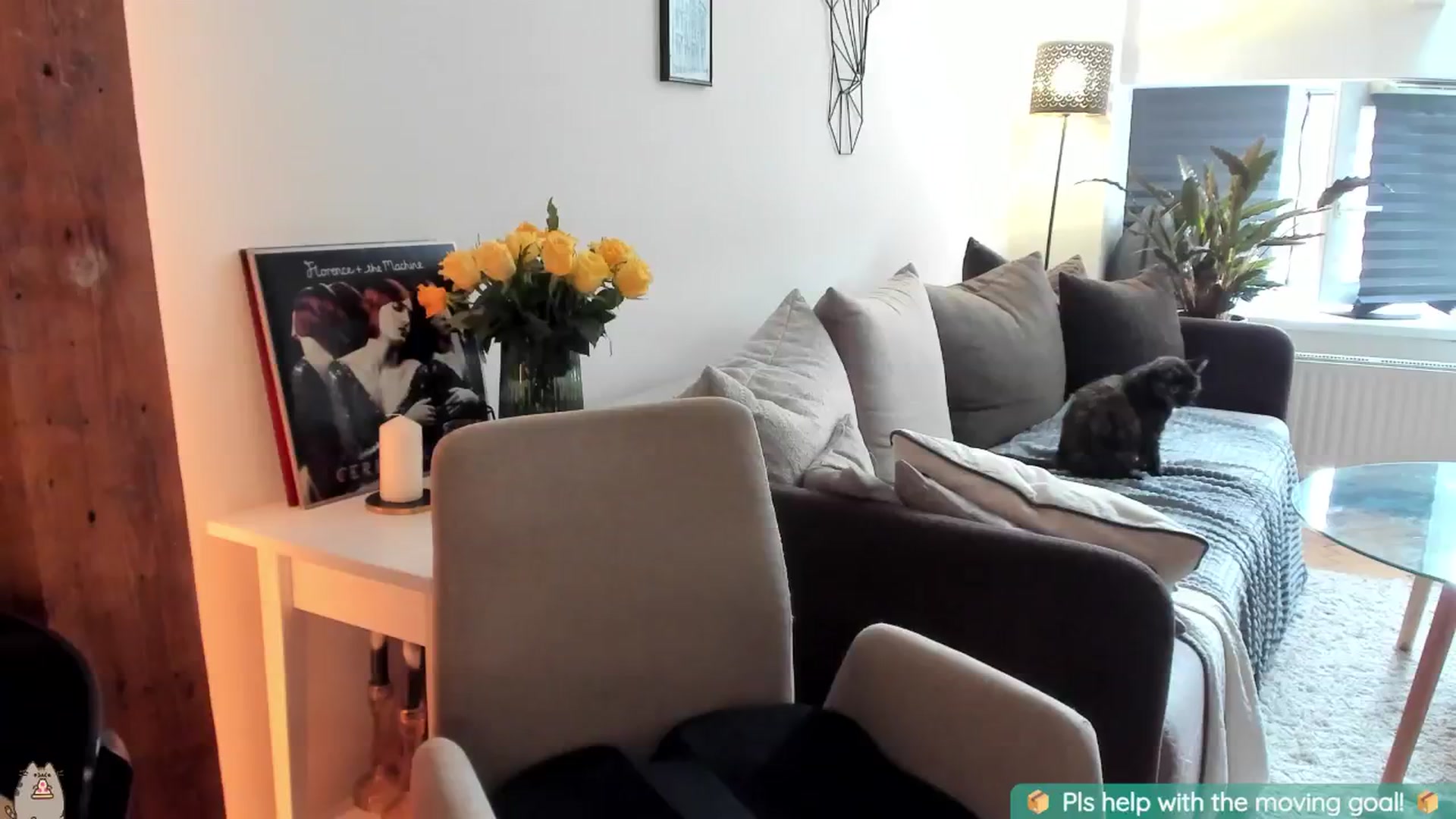 Gallery image thumbnail from Maddie's myfreecams stream on, 08/18/2024, 05:35 image 17 of 20