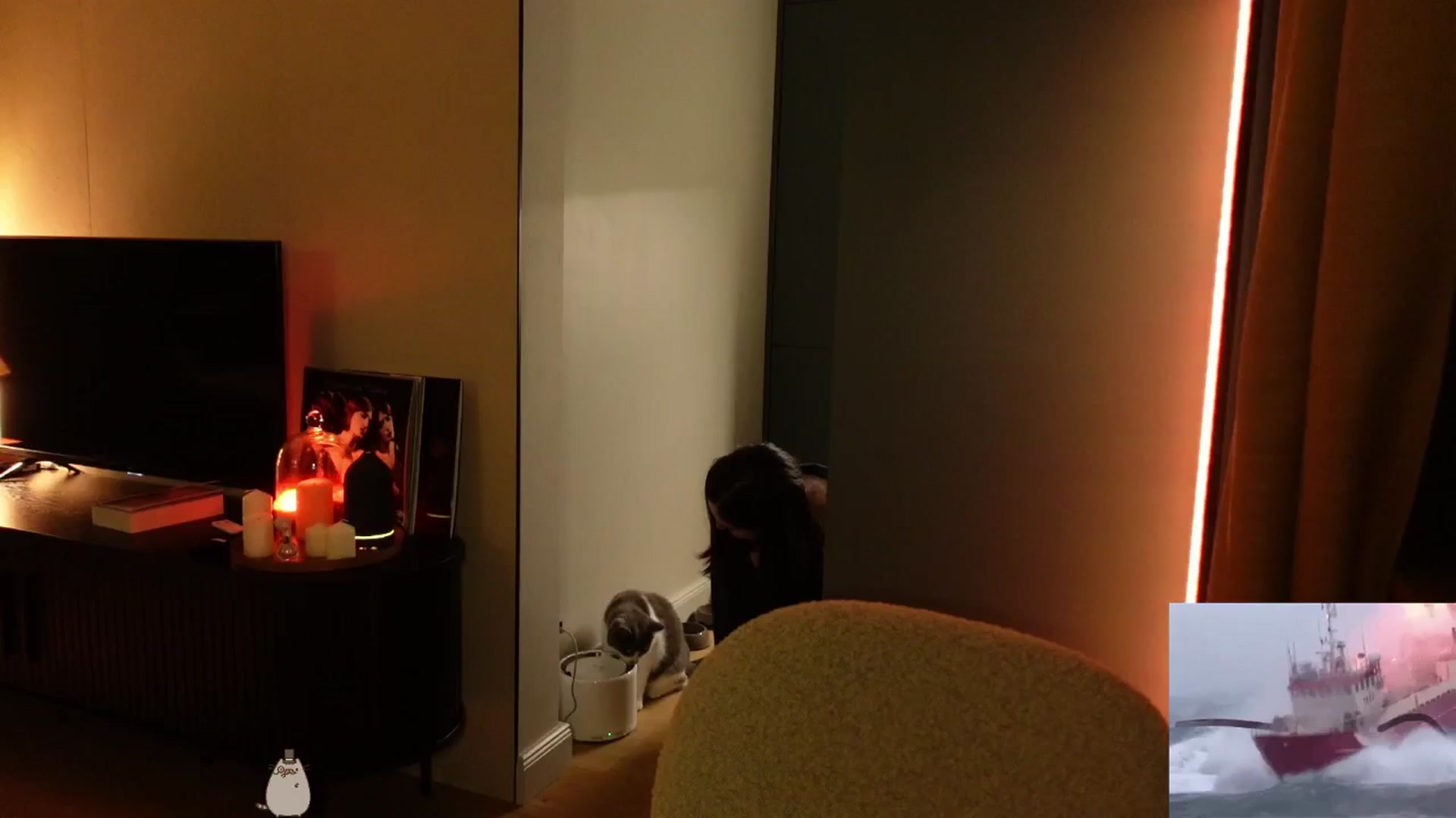 Gallery image thumbnail from Maddie's myfreecams stream on, 11/16/2024, 02:54 image 6 of 20