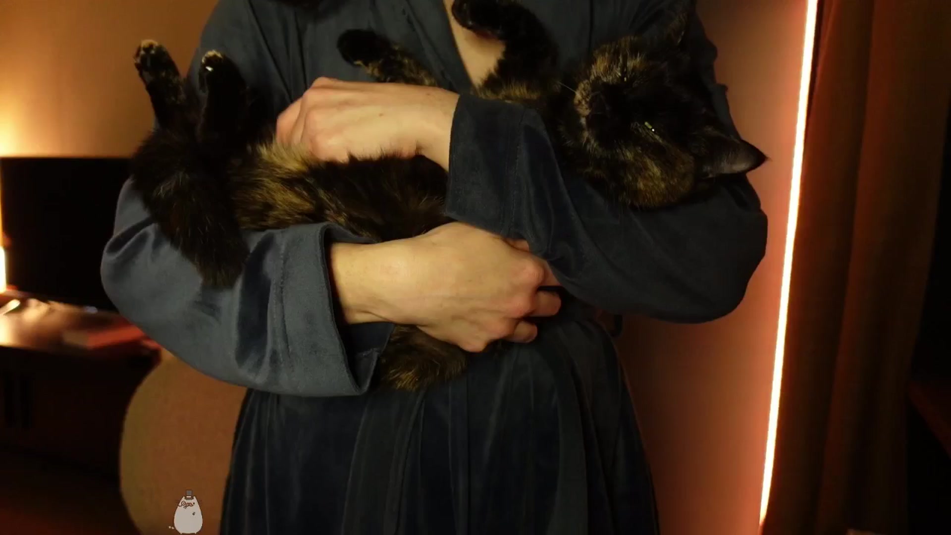 Gallery image thumbnail from Maddie's myfreecams stream on, 11/16/2024, 02:54 image 9 of 20