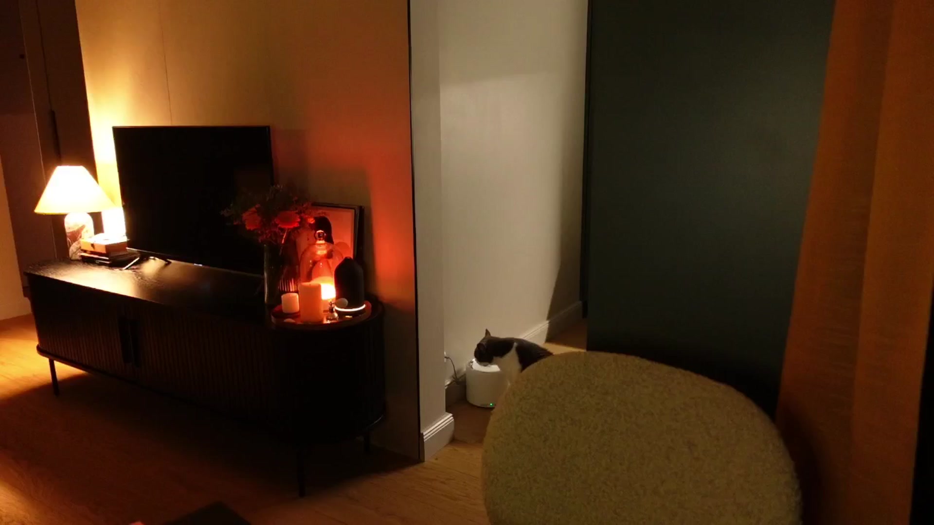 Gallery image thumbnail from Maddie's myfreecams stream on, 02/07/2025, 24:01 image 10 of 20