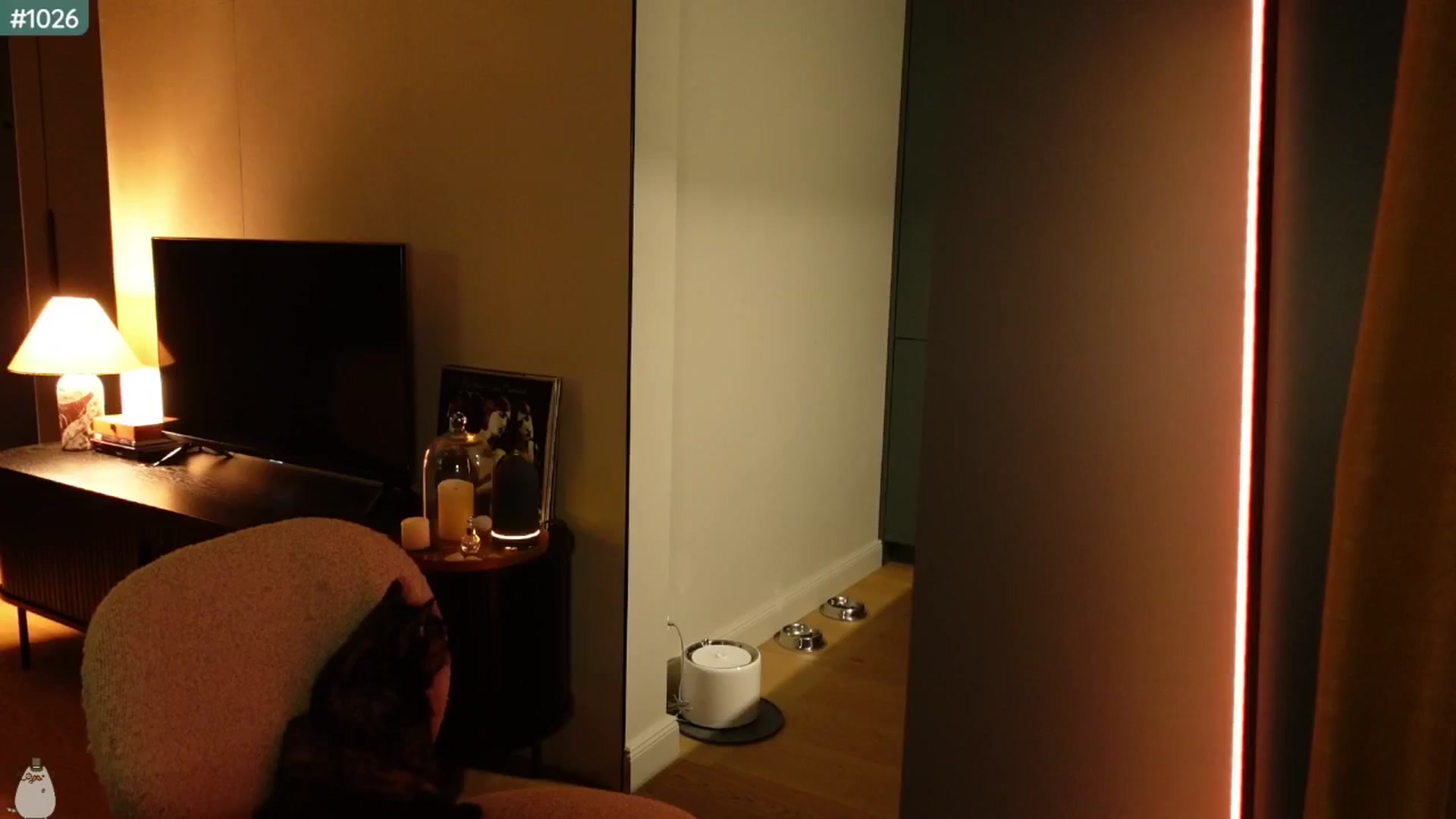 Gallery image thumbnail from Maddie's myfreecams stream on, 04/23/2025, 01:59 image 15 of 20