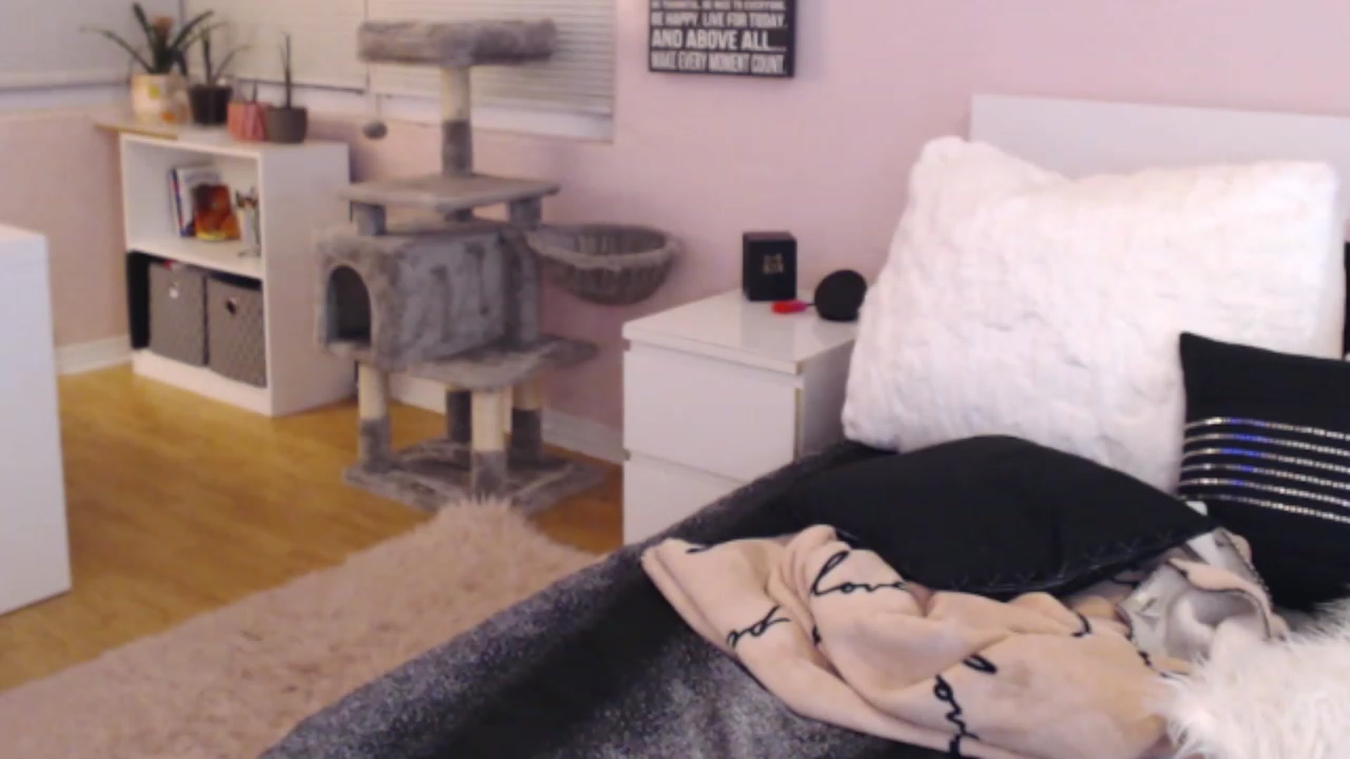 Gallery image thumbnail from Maddz_Jo's myfreecams stream on, 05/19/2023, 09:58 image 6 of 20