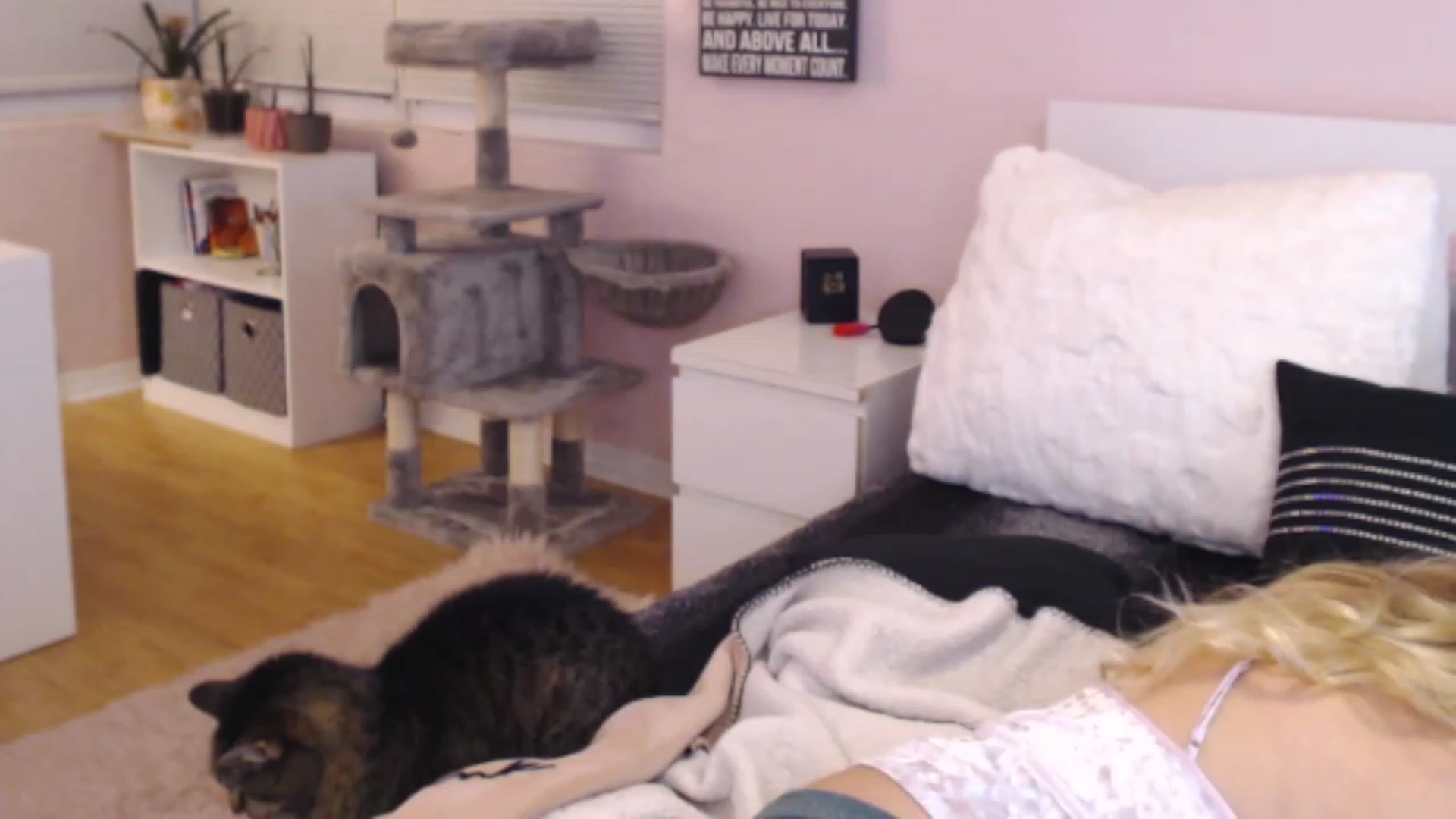 Gallery image thumbnail from Maddz_Jo's myfreecams stream on, 05/19/2023, 09:58 image 18 of 20