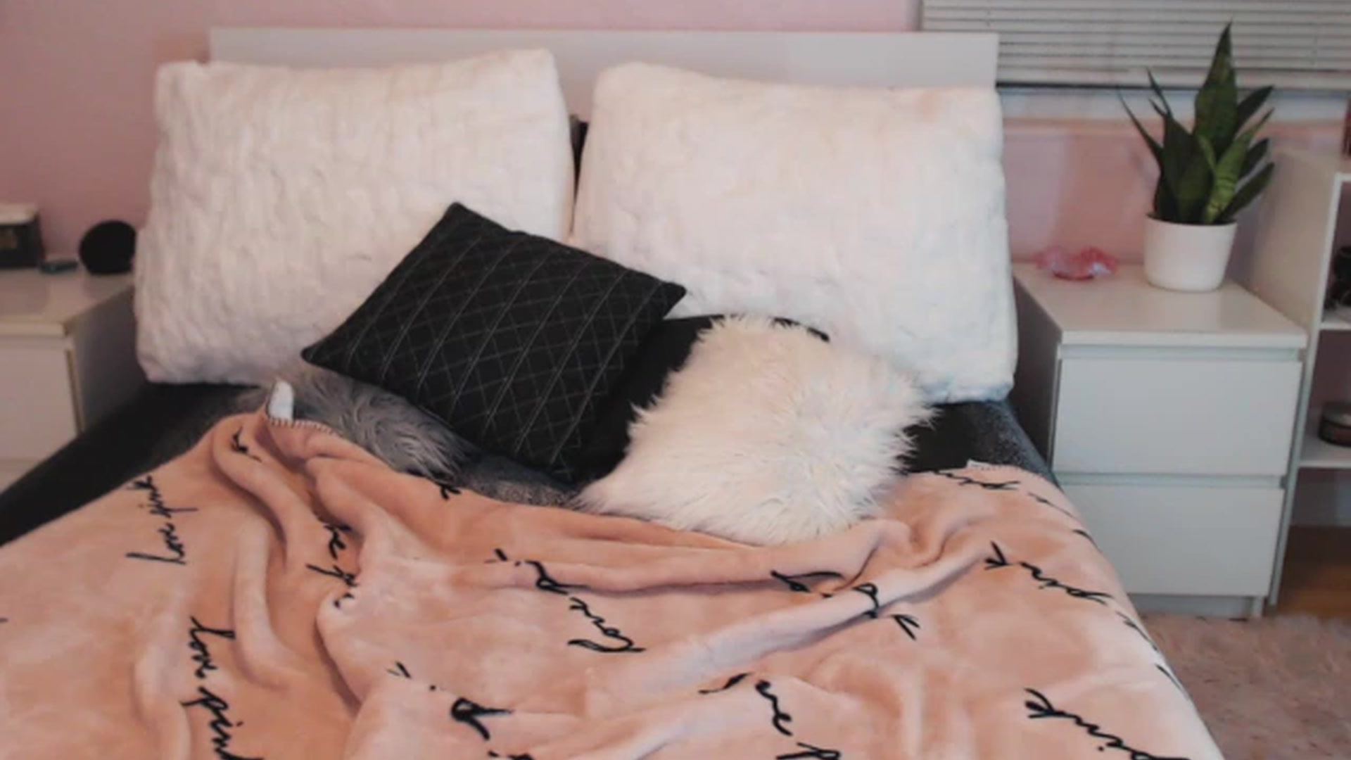 Gallery image thumbnail from Maddz_Jo's myfreecams stream on, 06/01/2023, 07:12 image 11 of 20