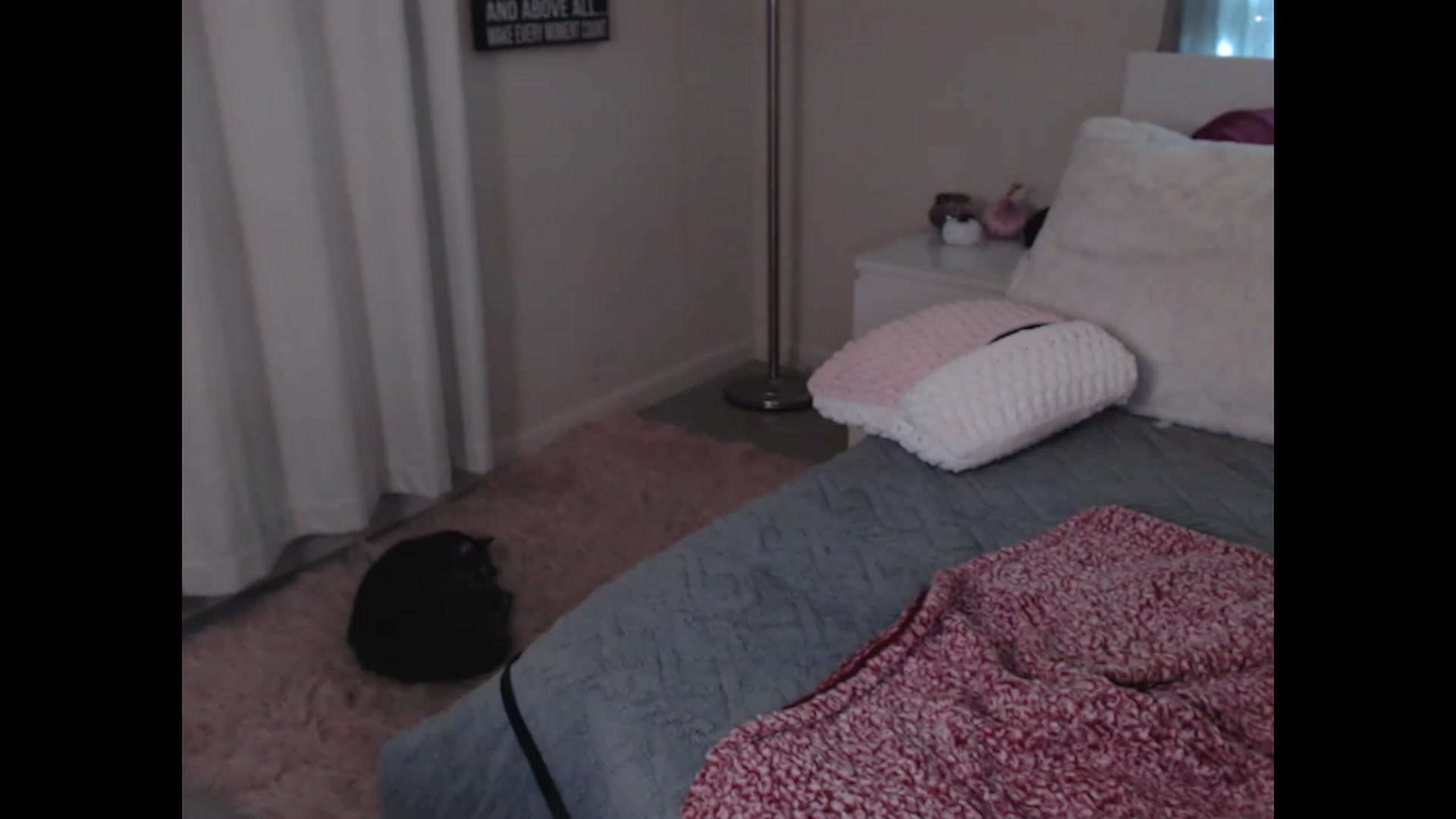 Gallery image thumbnail from Maddz_Jo's myfreecams stream on, 10/28/2023, 08:37 image 4 of 20